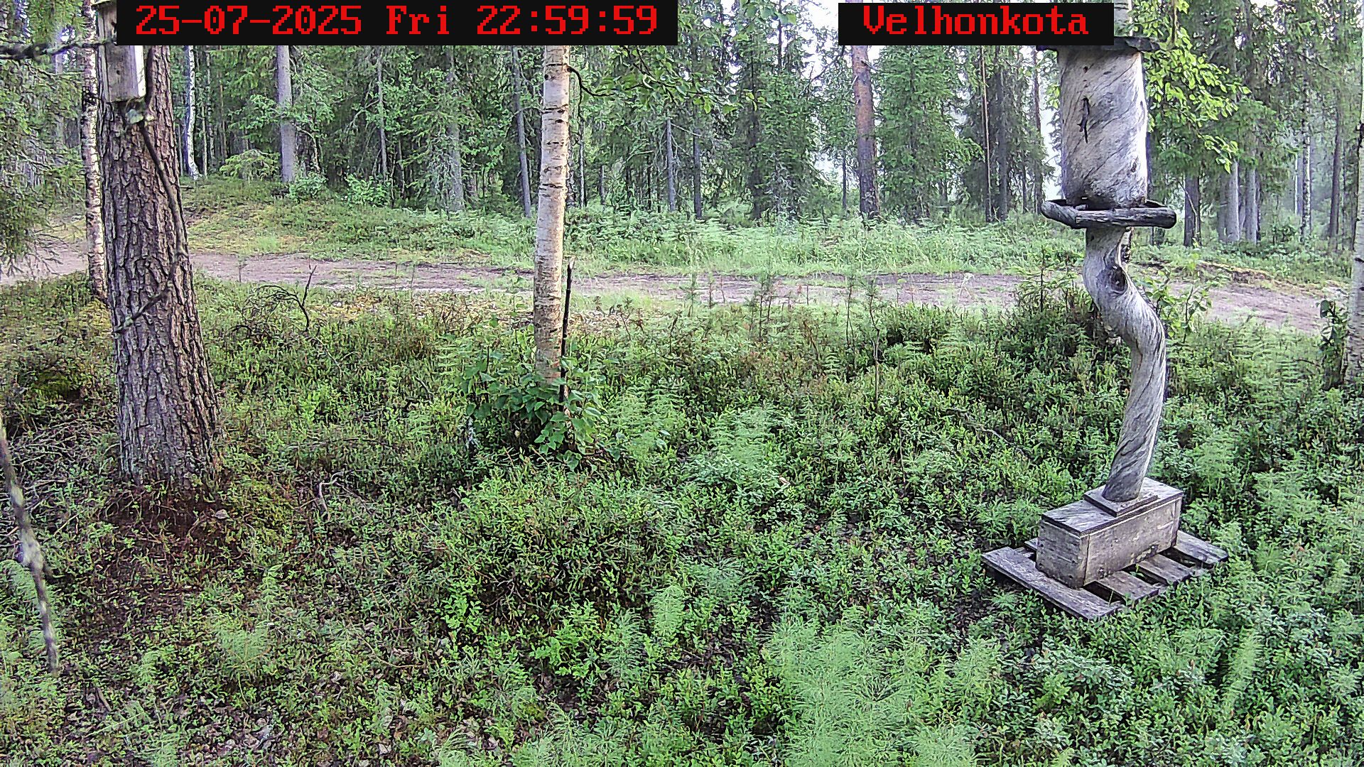 Latest Image