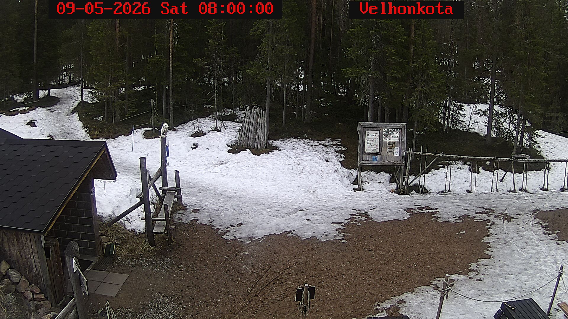 Latest Image