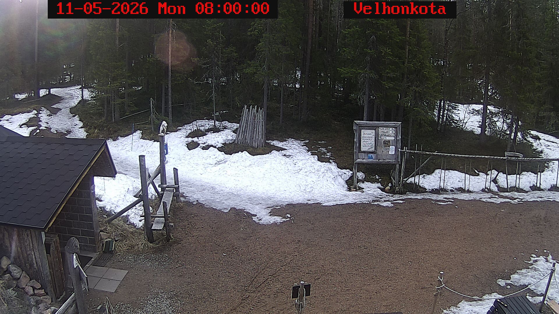 Latest Image