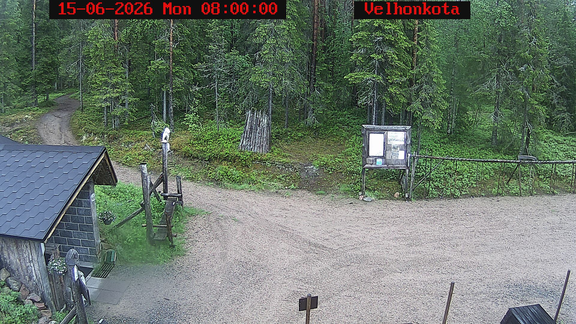 Latest Image