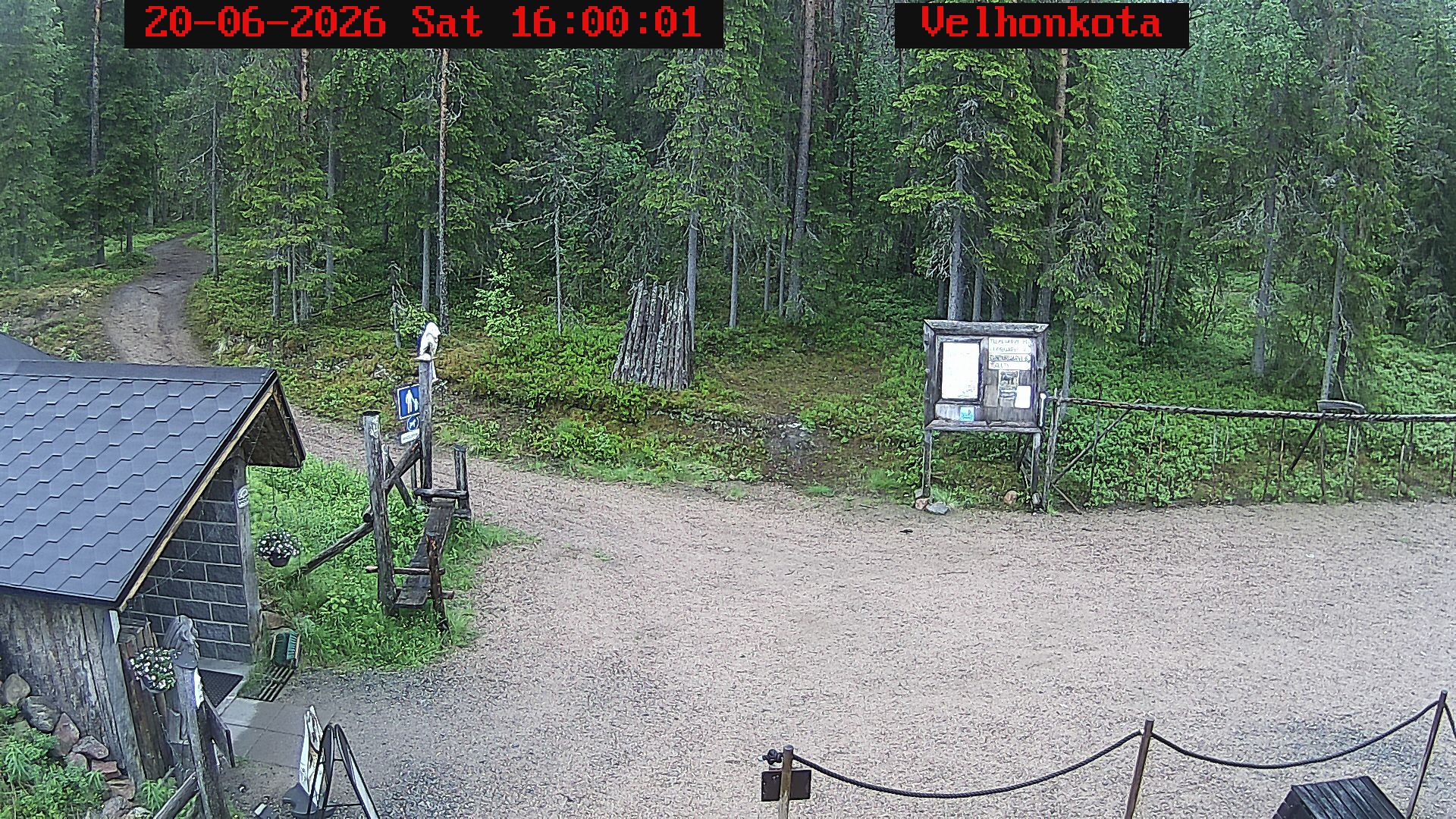 Latest Image