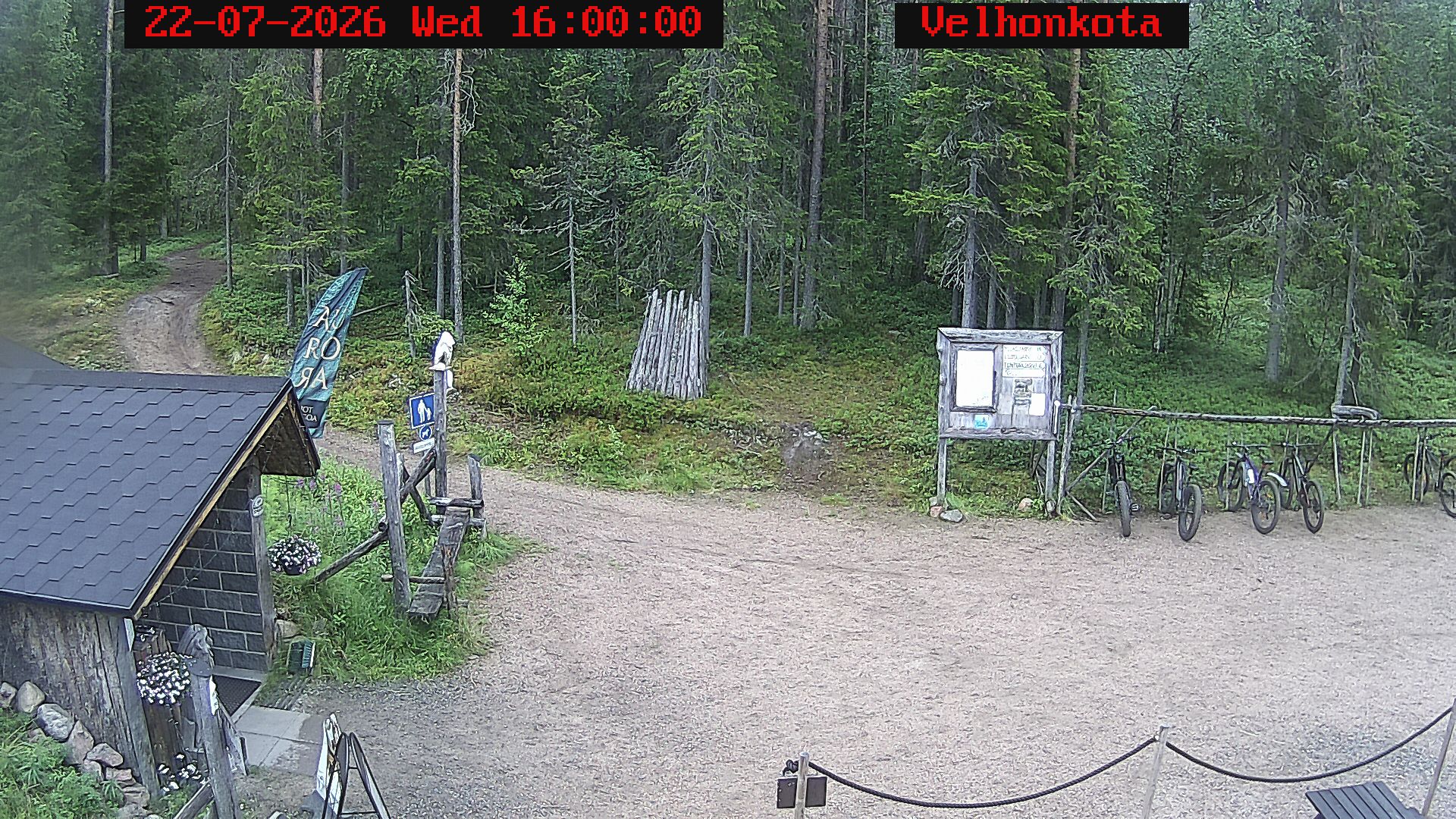 Latest Image