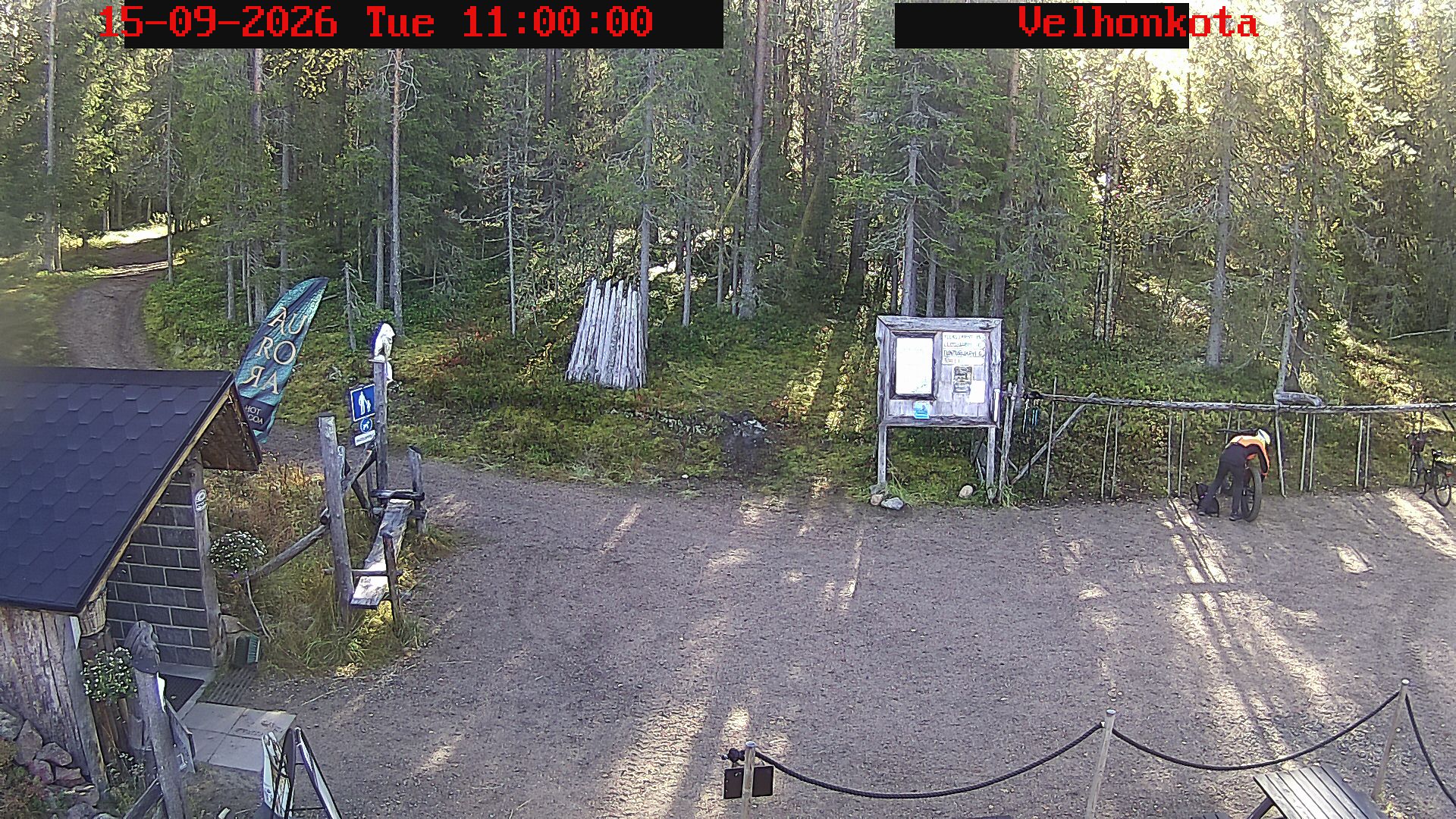 Latest Image