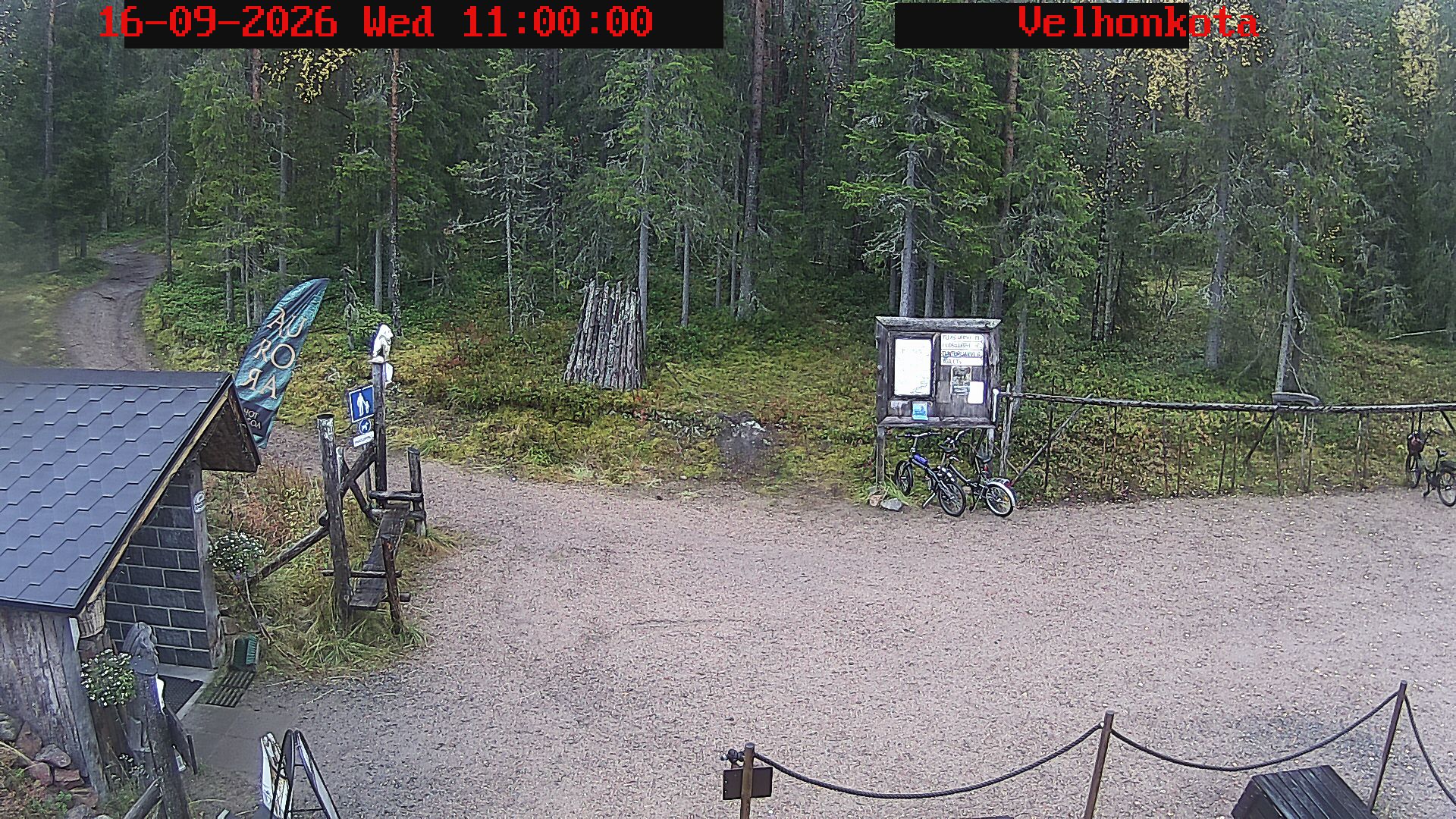 Latest Image