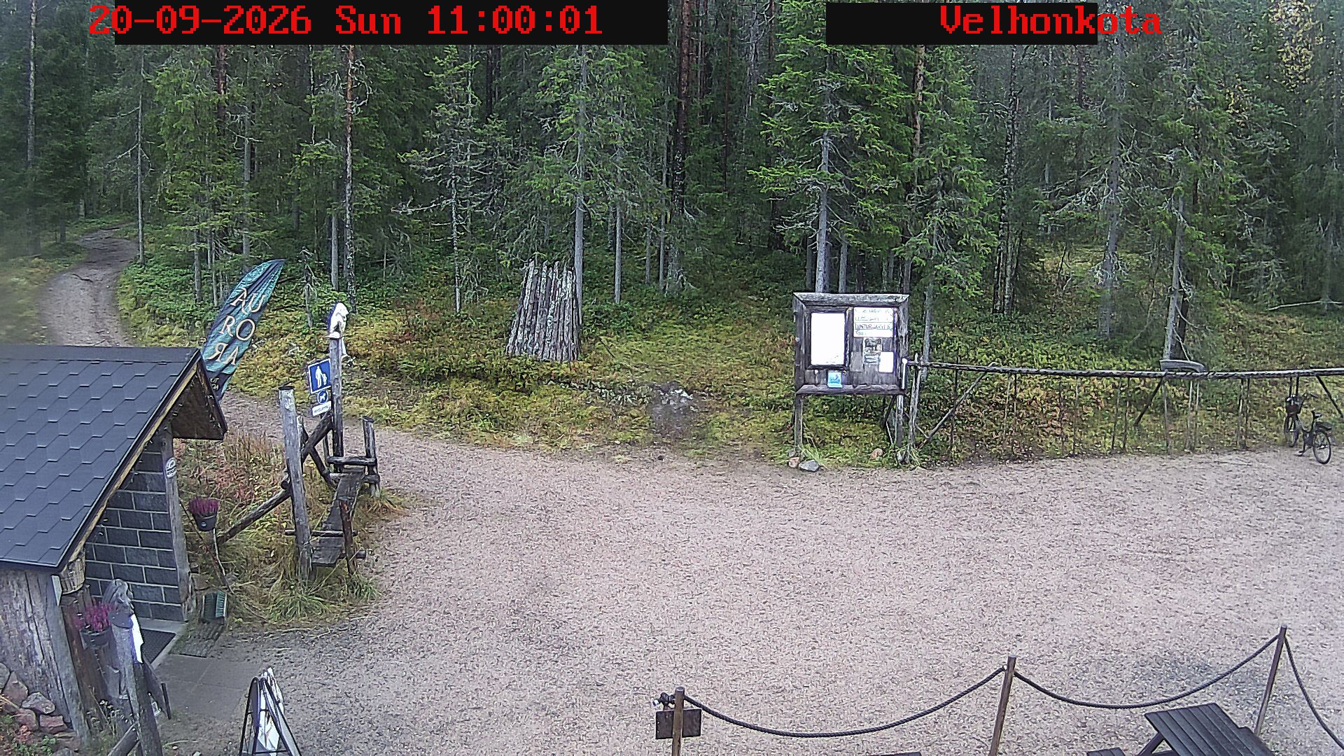 Latest Image
