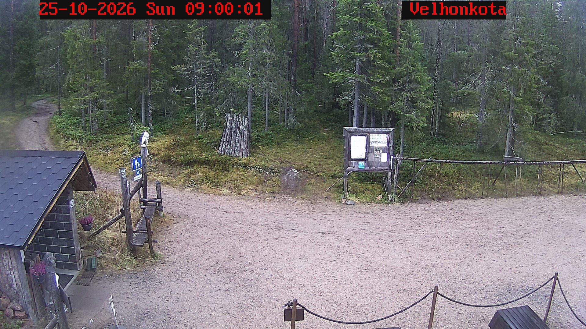 Latest Image