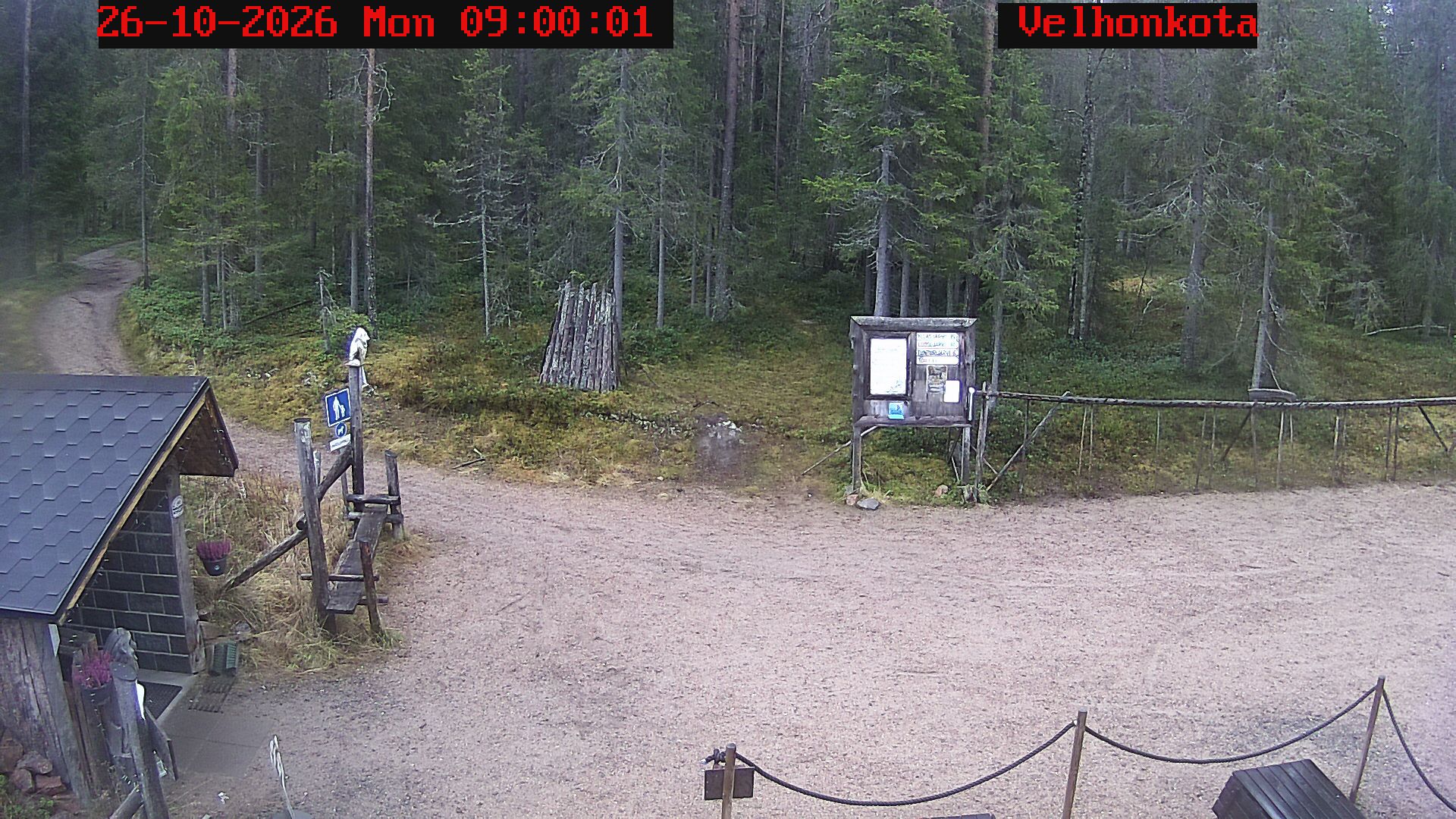 Latest Image