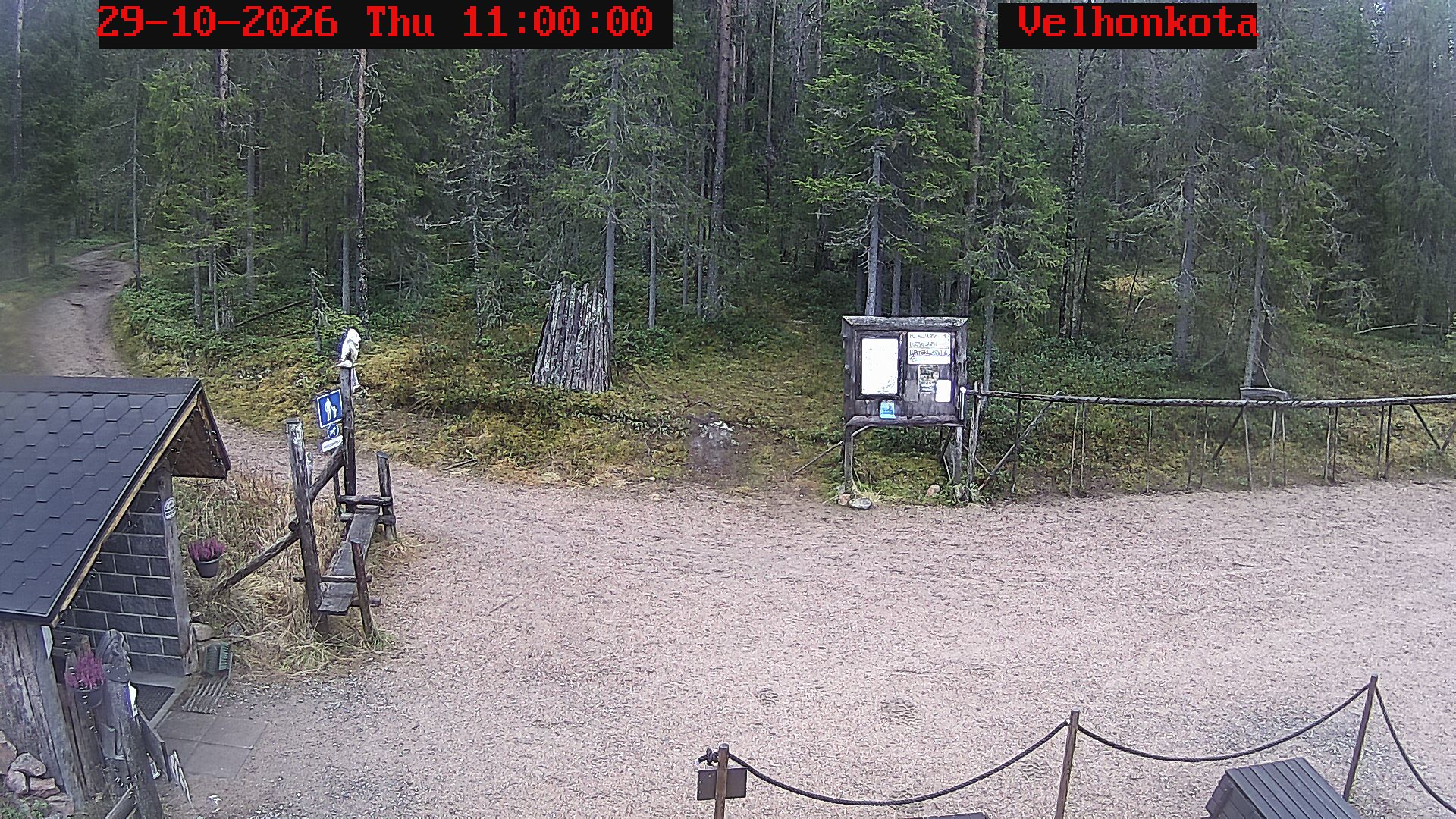 Latest Image