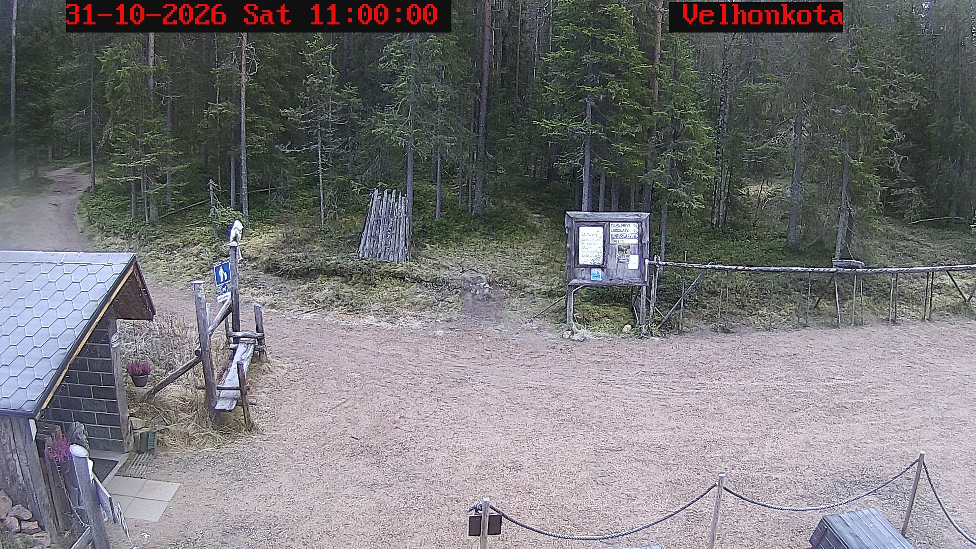 Latest Image