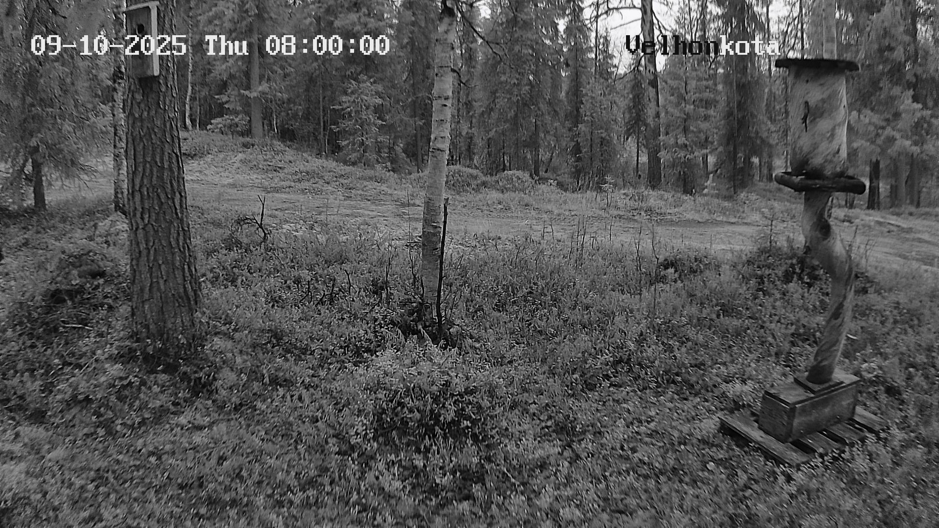 Latest Image