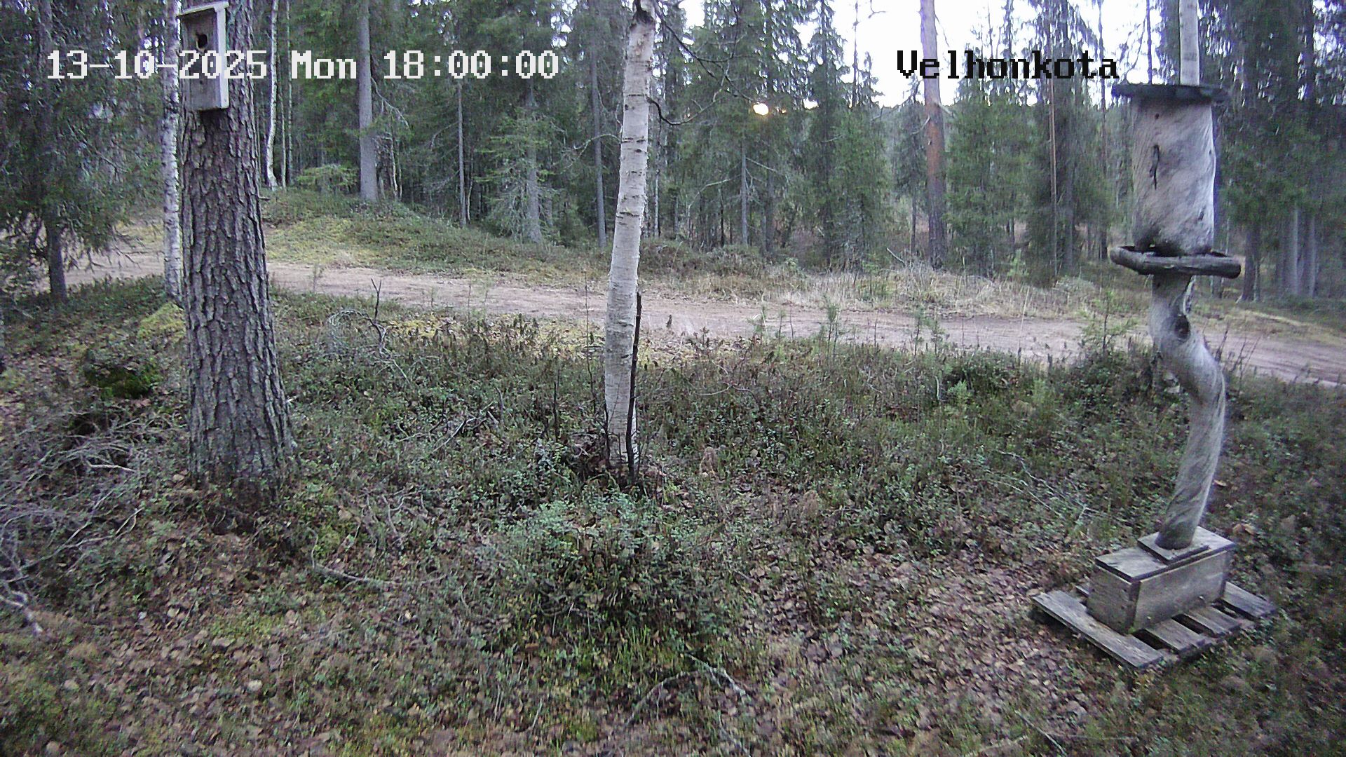 Latest Image