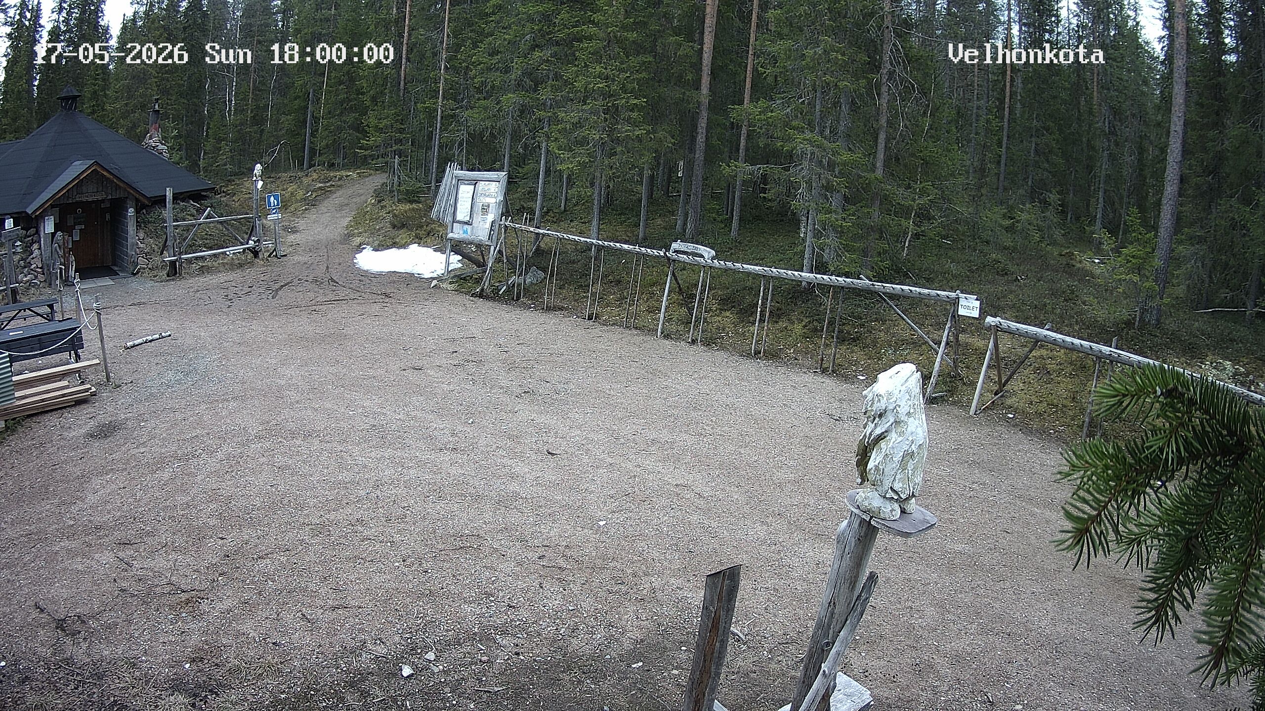 Latest Image