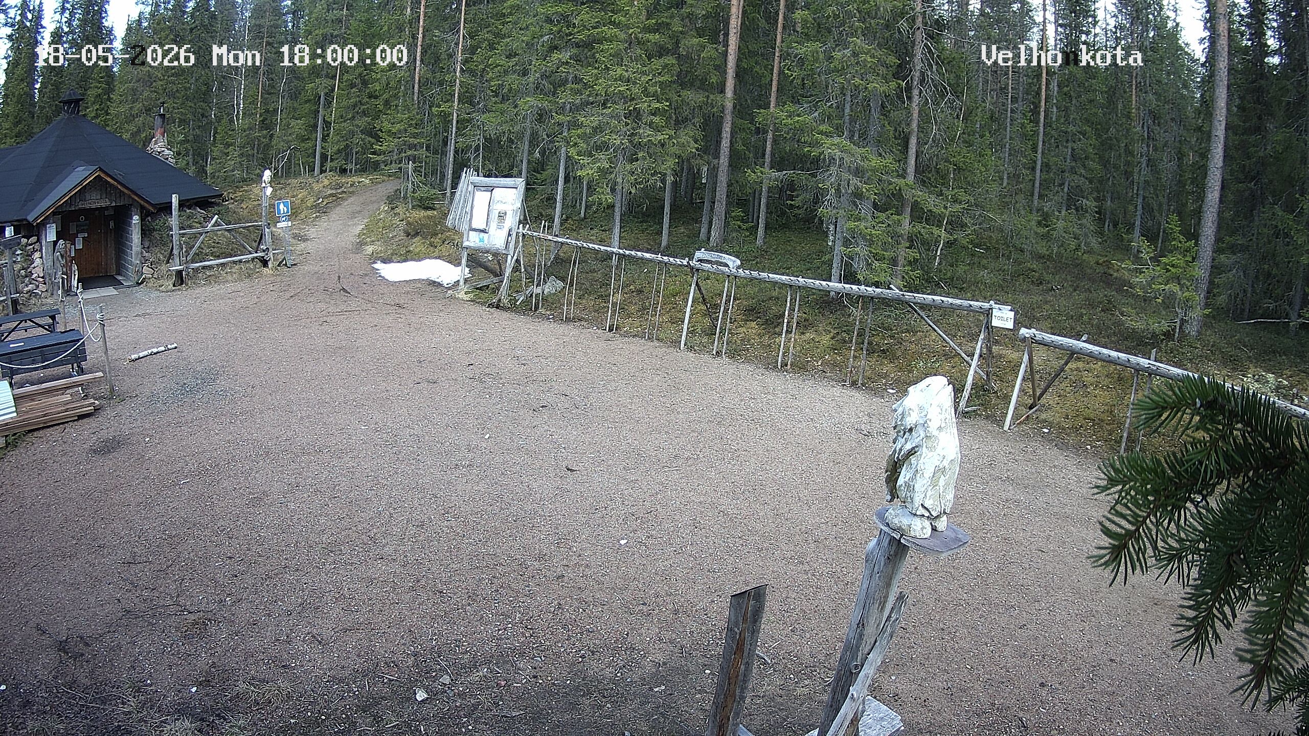 Latest Image