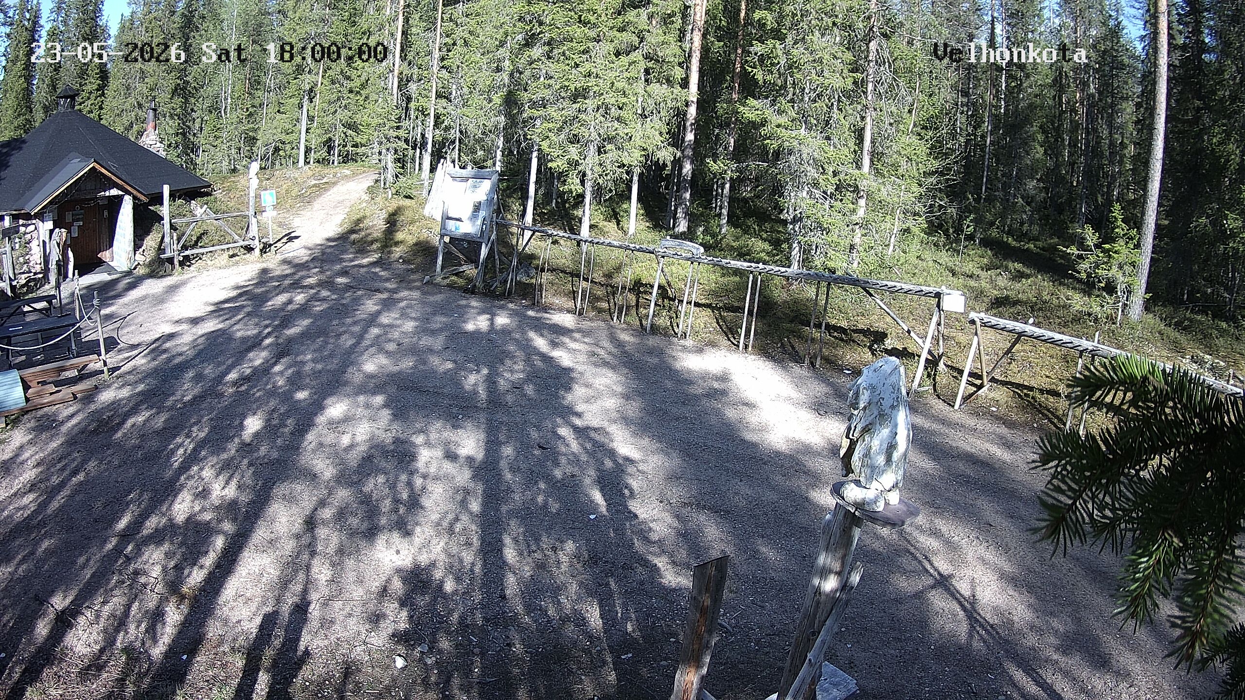 Latest Image