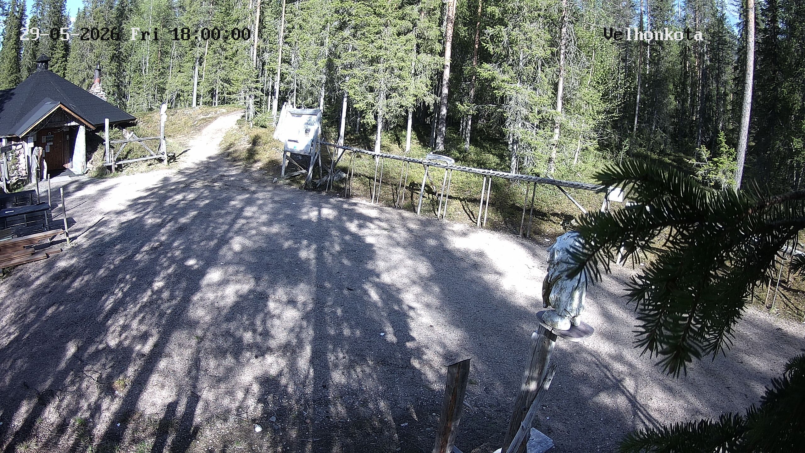 Latest Image