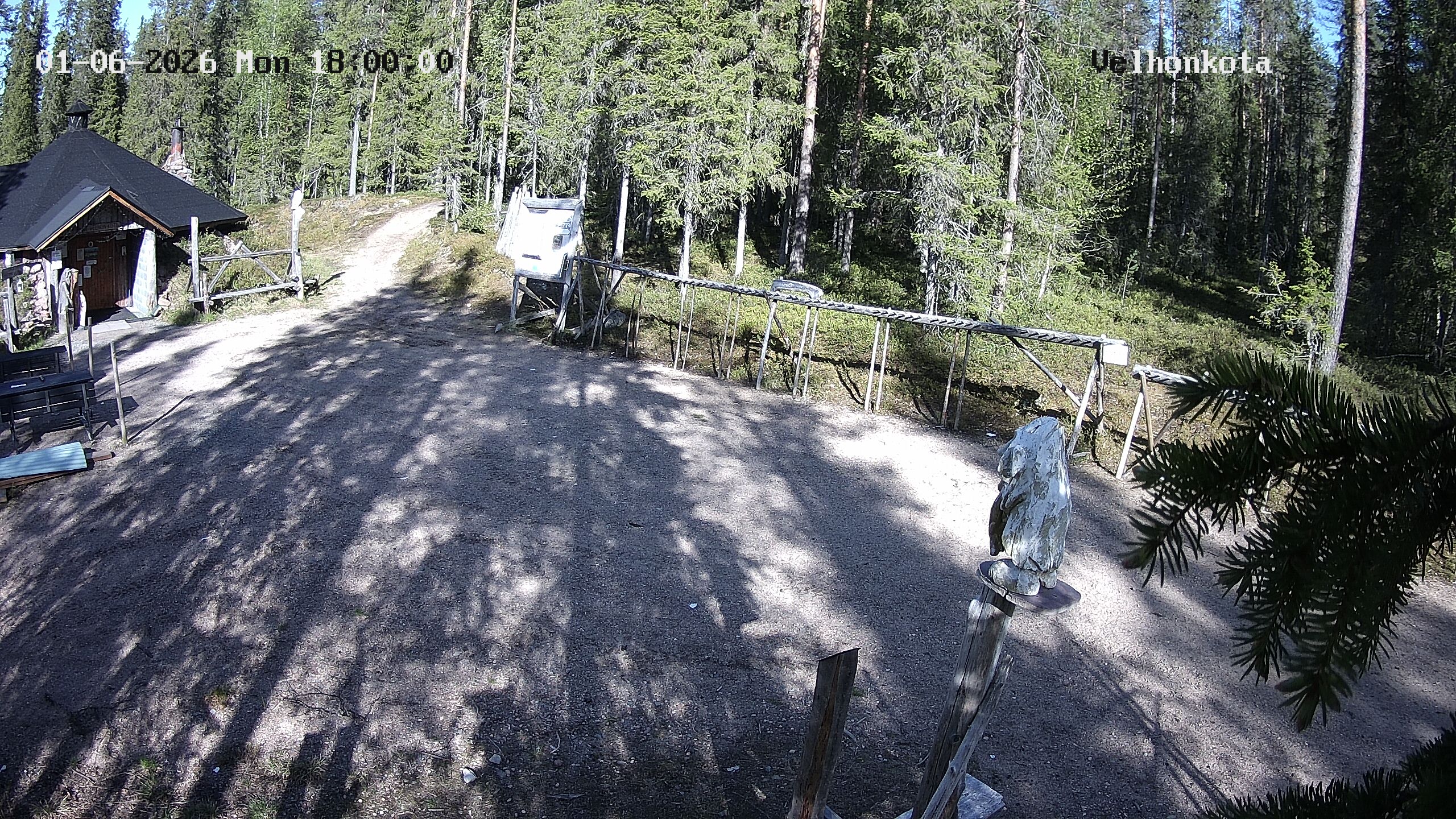 Latest Image