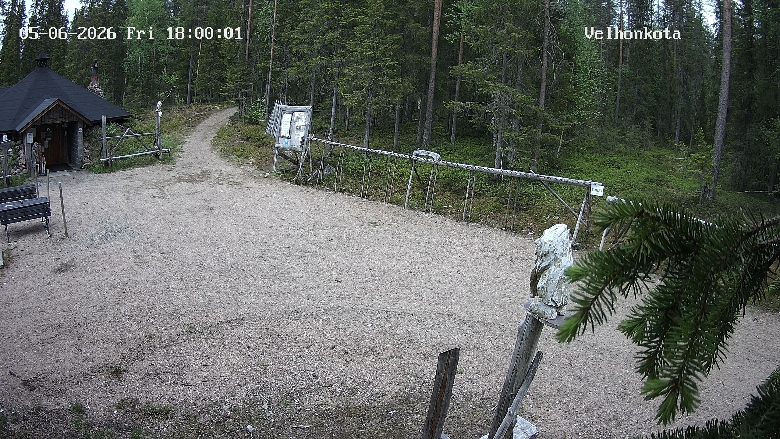 Latest Image