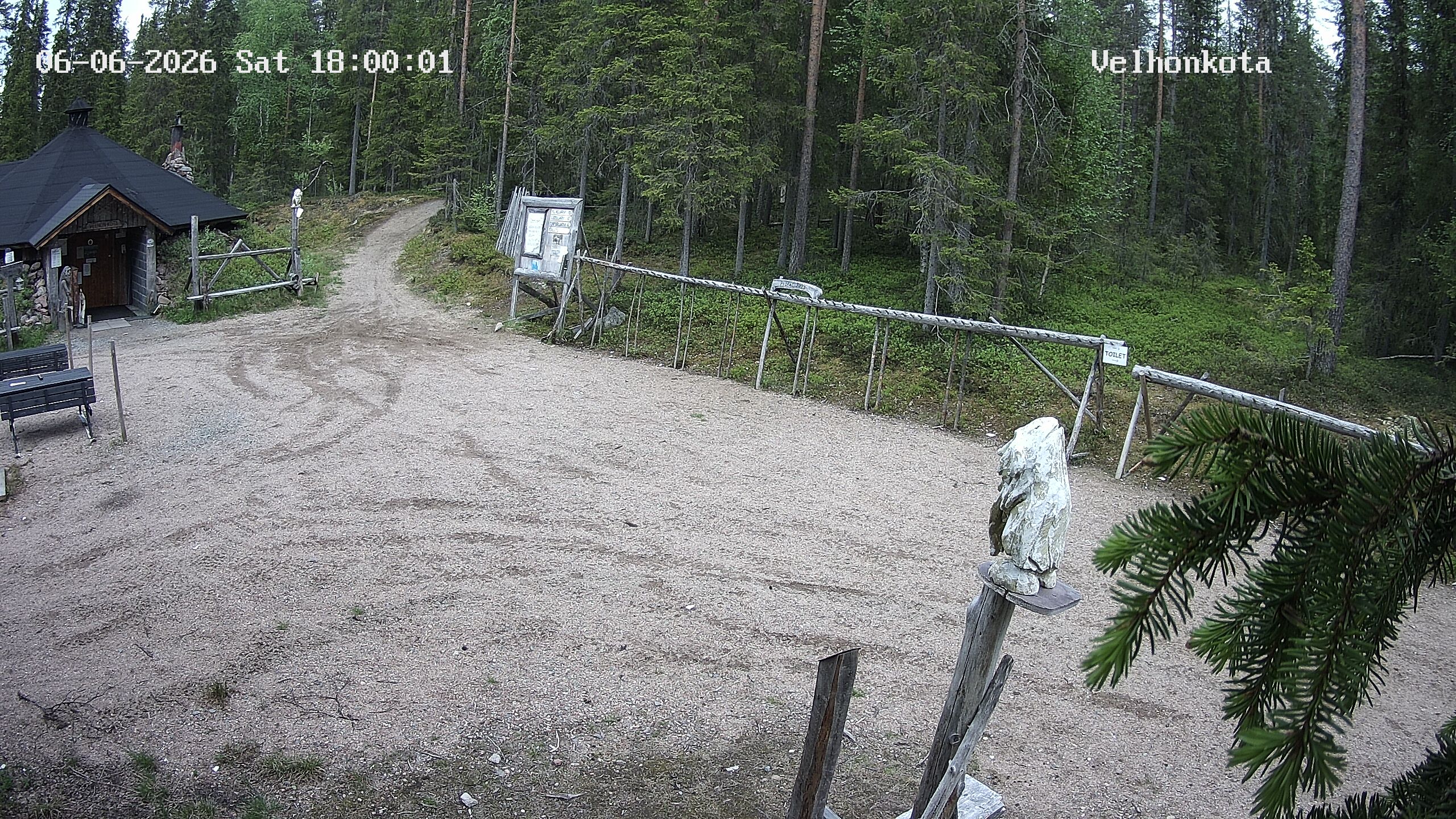 Latest Image