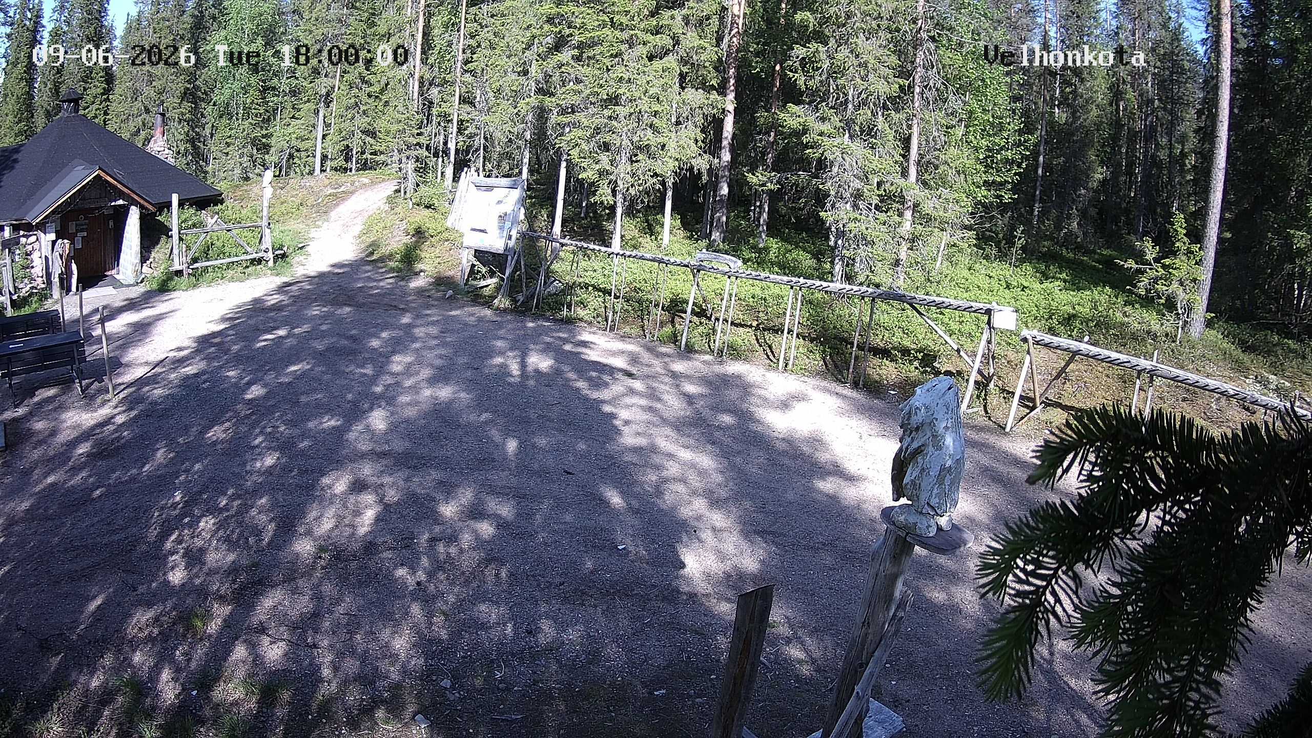 Latest Image