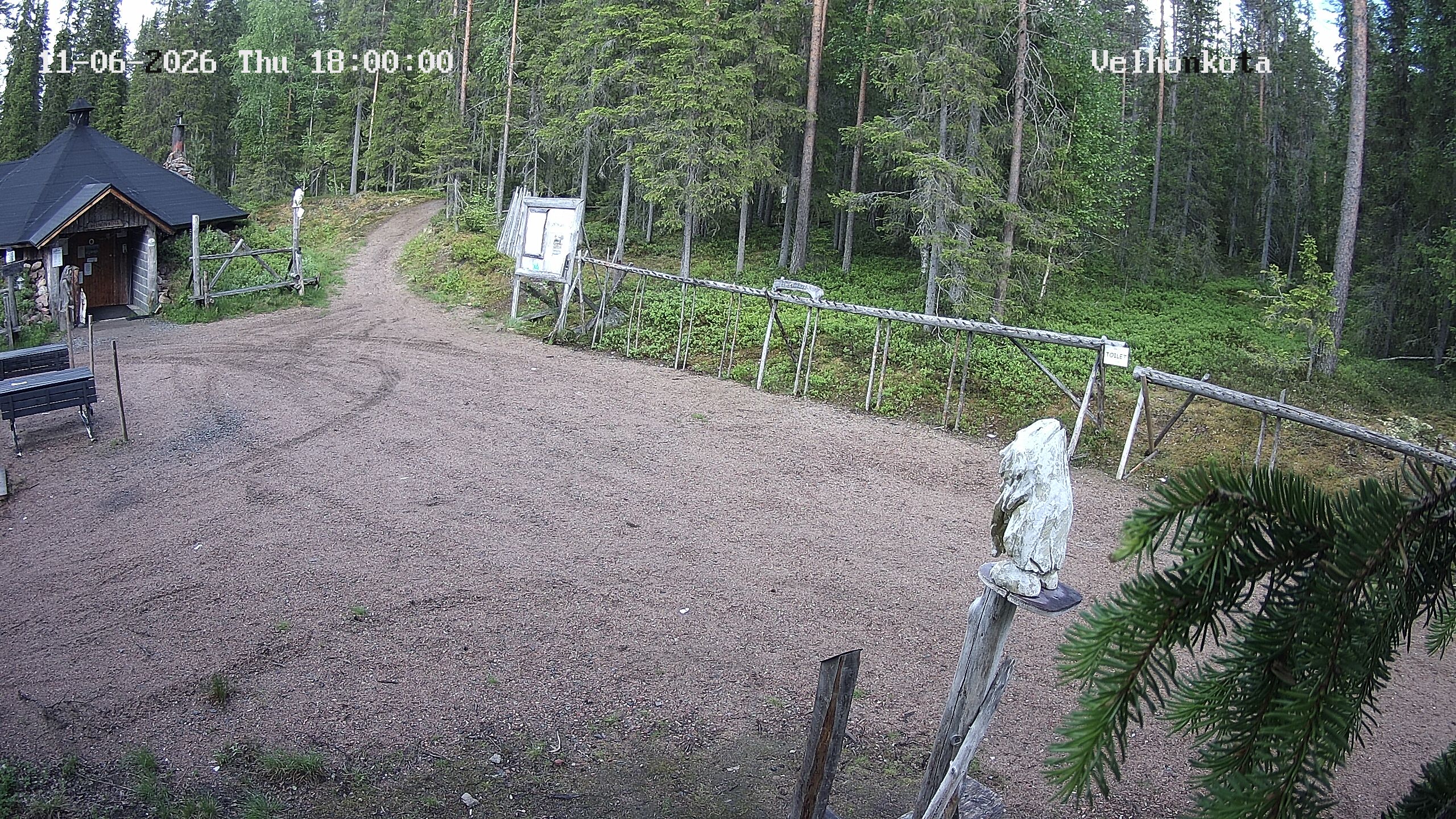 Latest Image