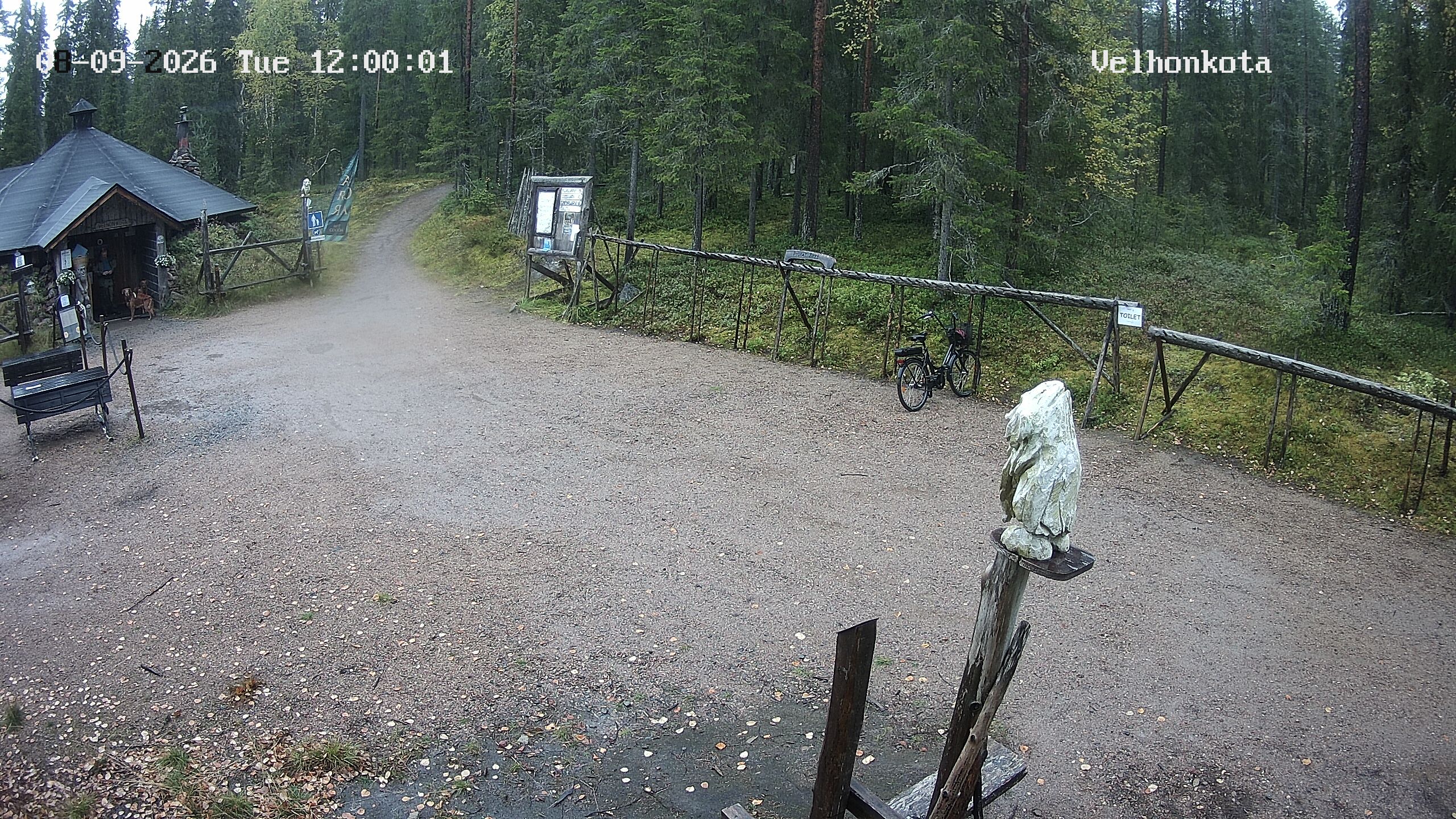 Latest Image