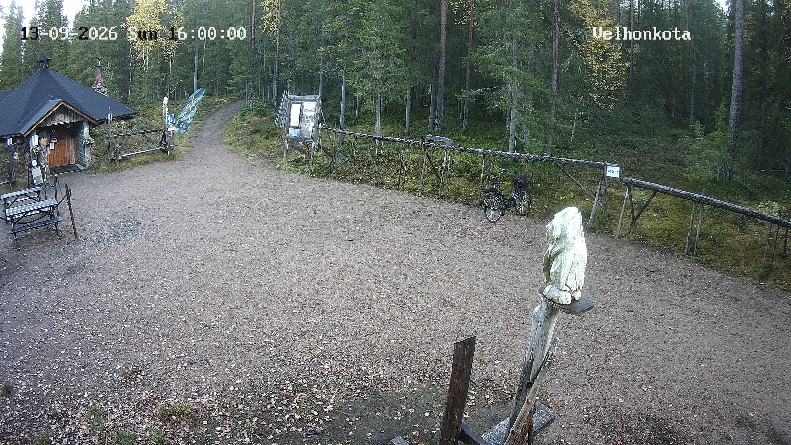 Latest Image
