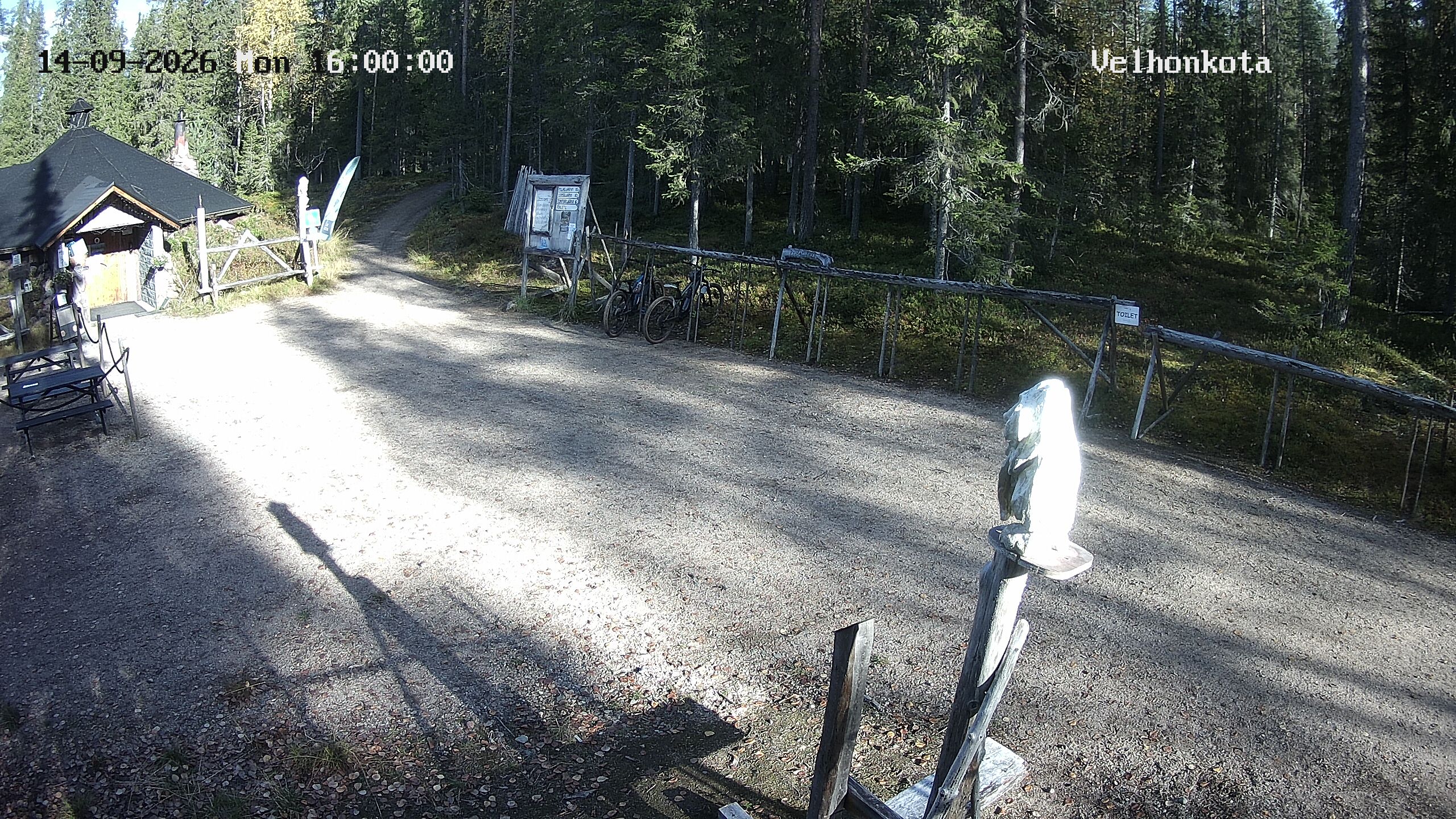 Latest Image
