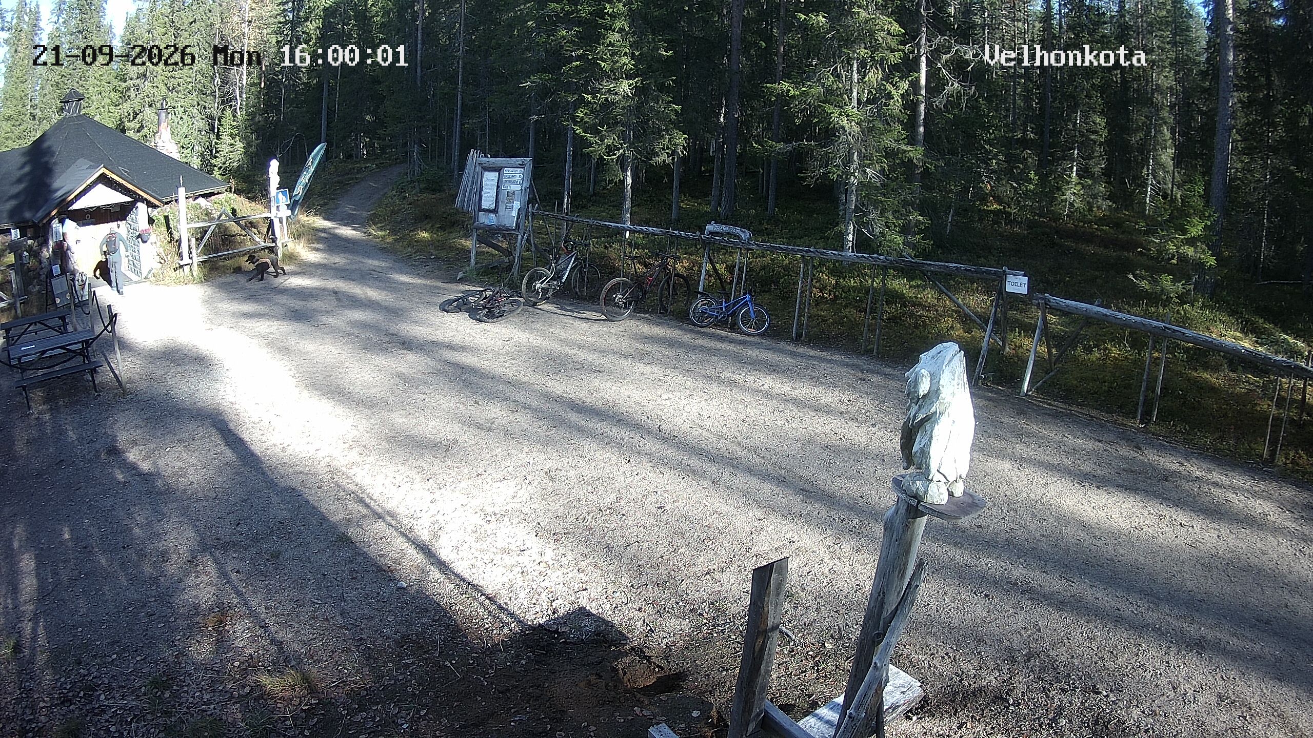 Latest Image