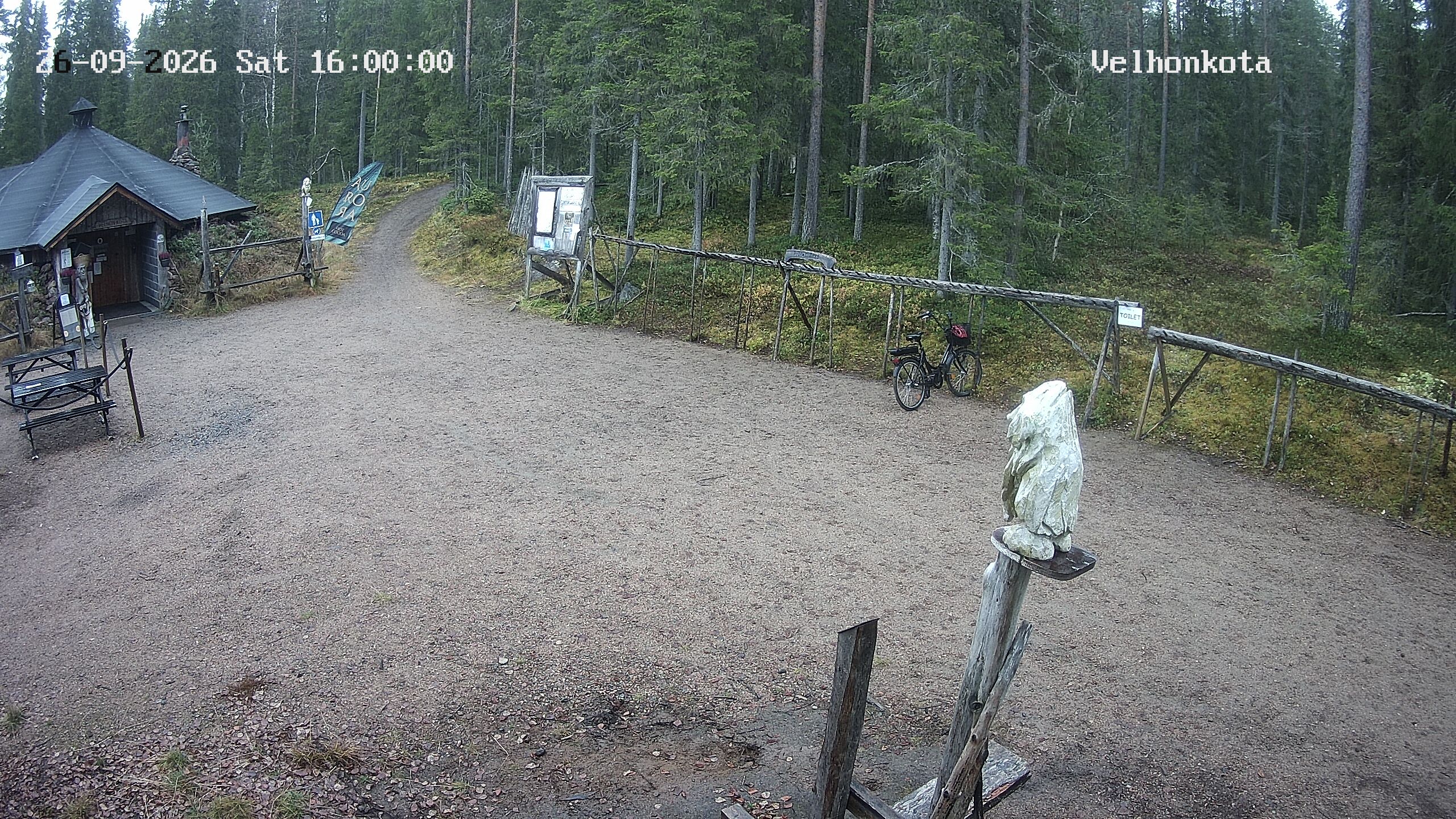 Latest Image