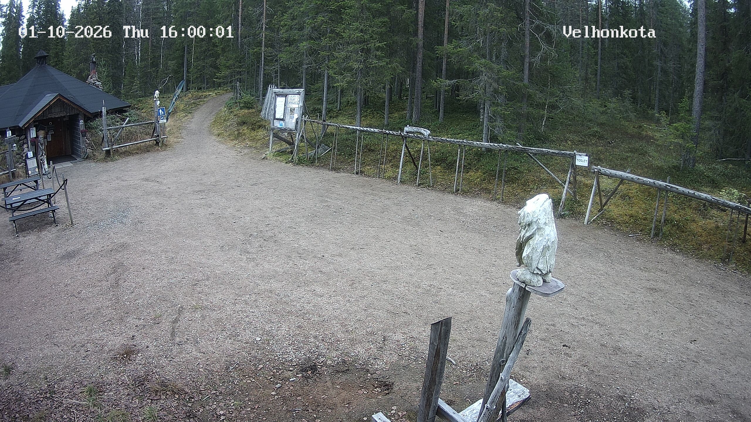 Latest Image