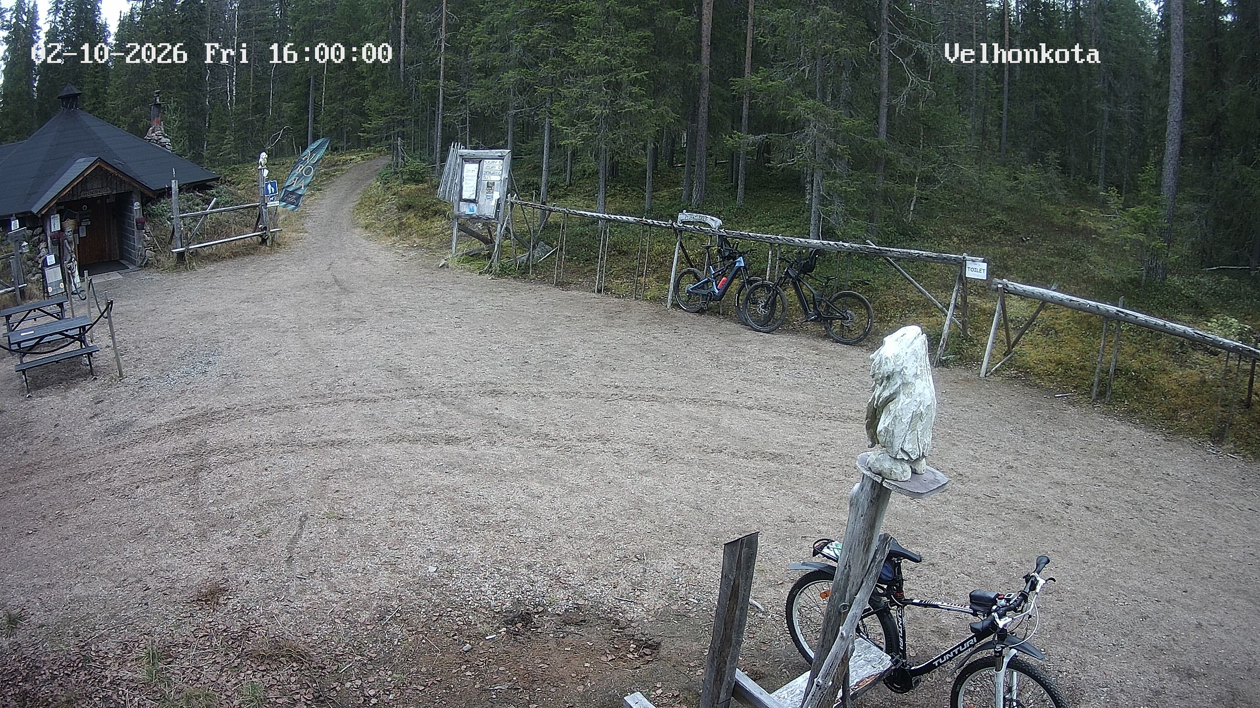 Latest Image