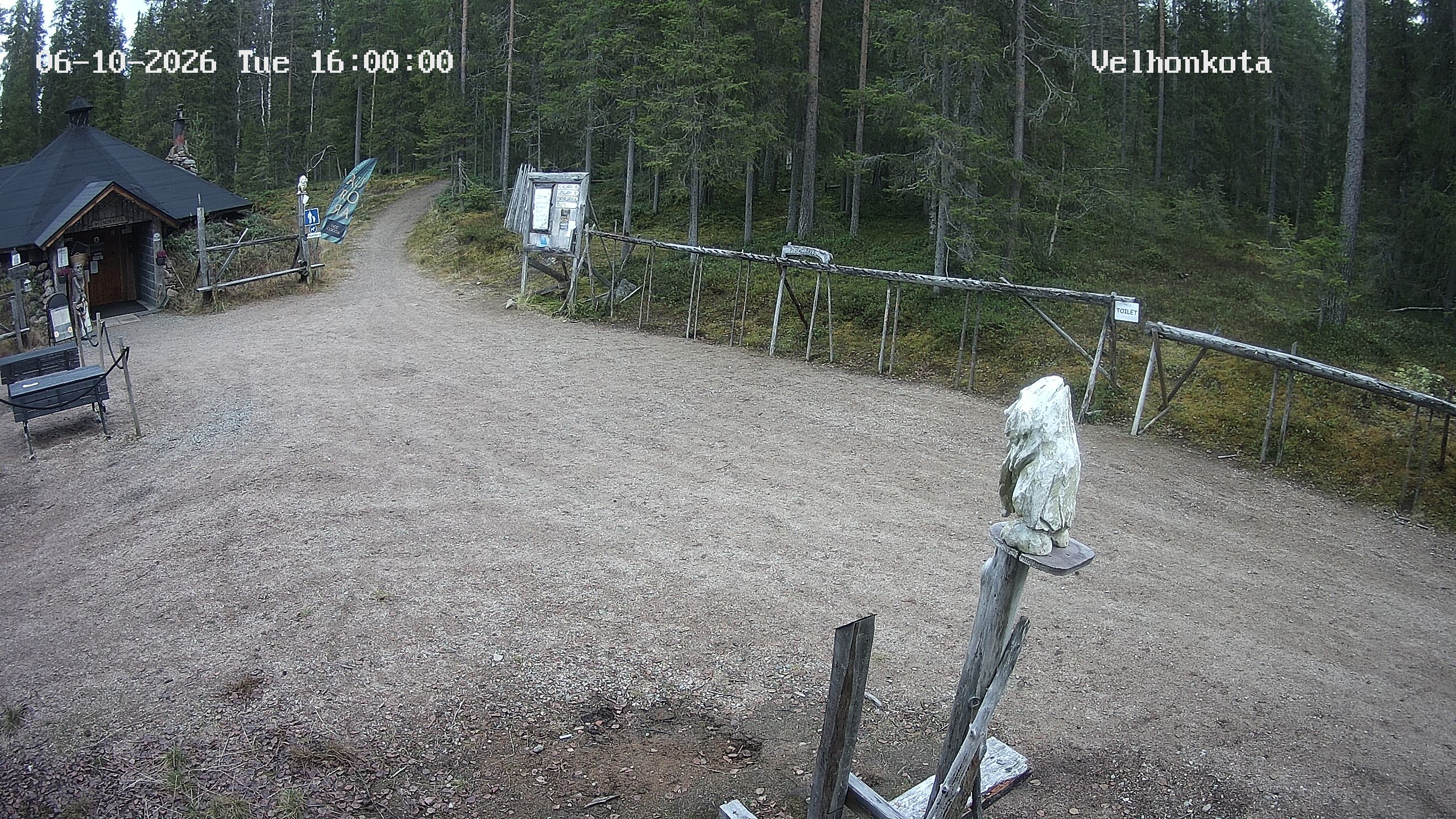 Latest Image