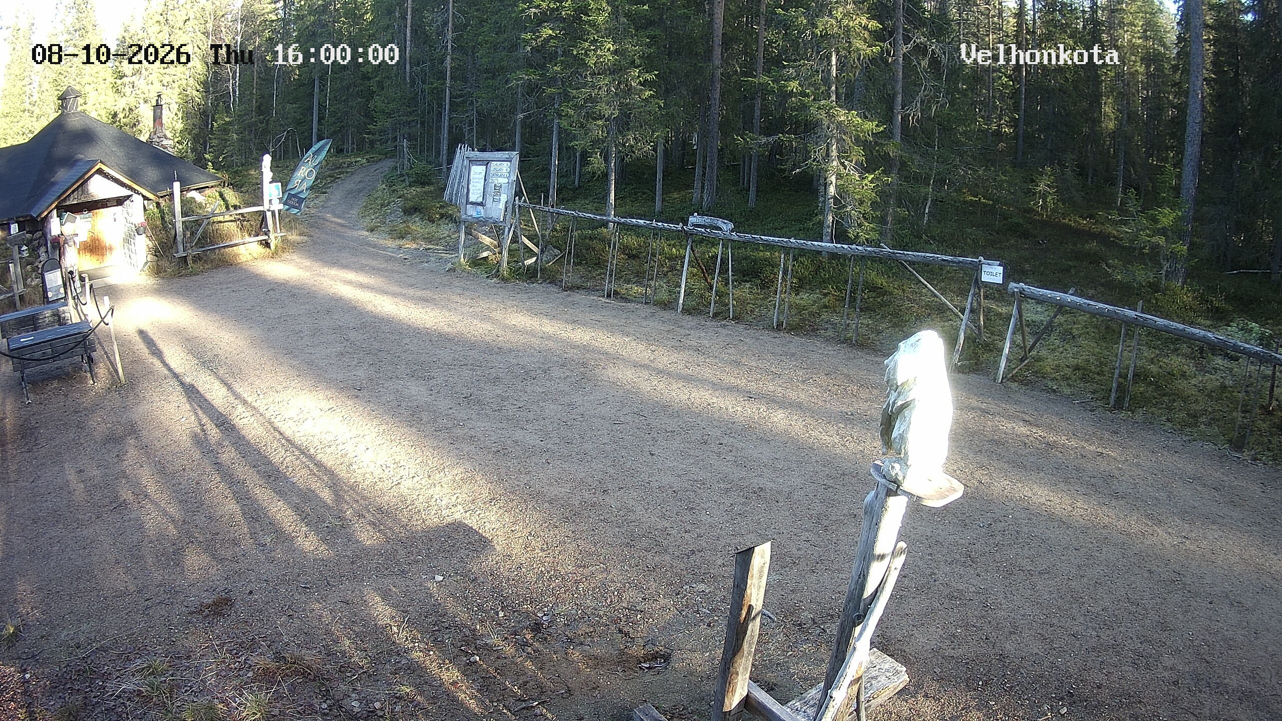 Latest Image