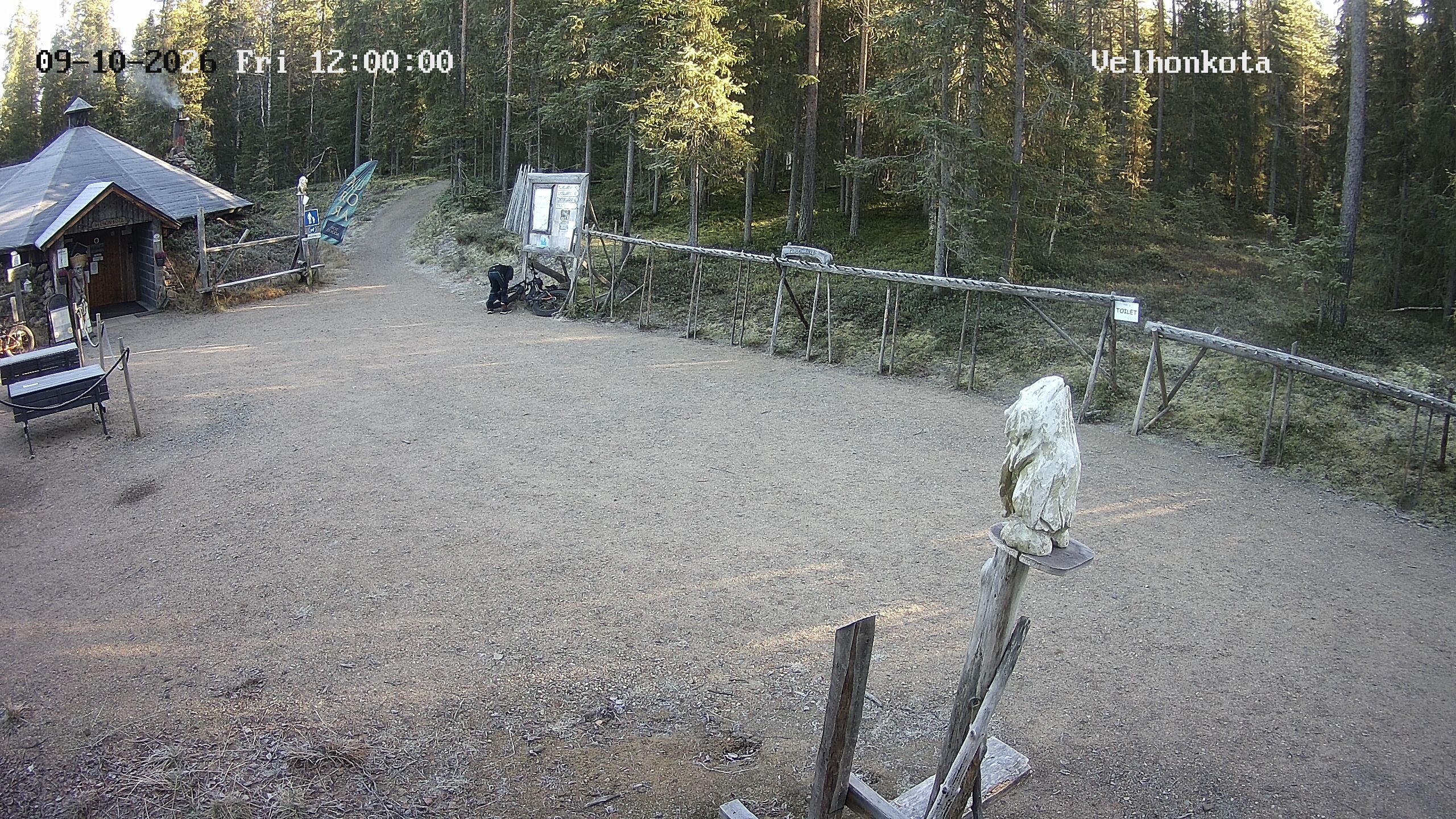 Latest Image