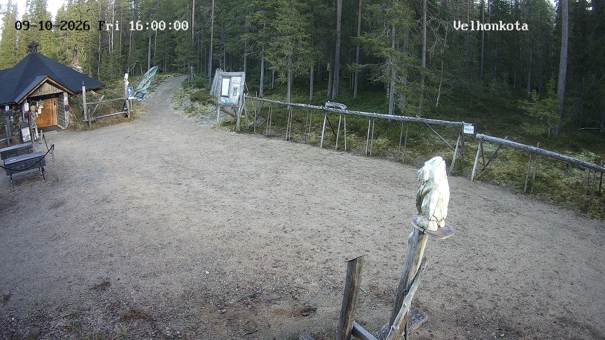 Latest Image