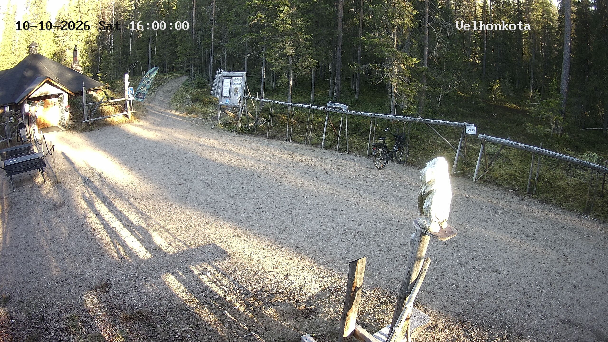 Latest Image