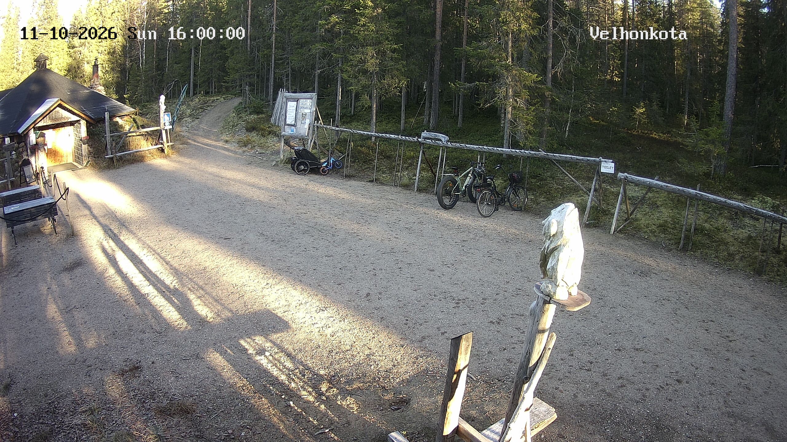 Latest Image