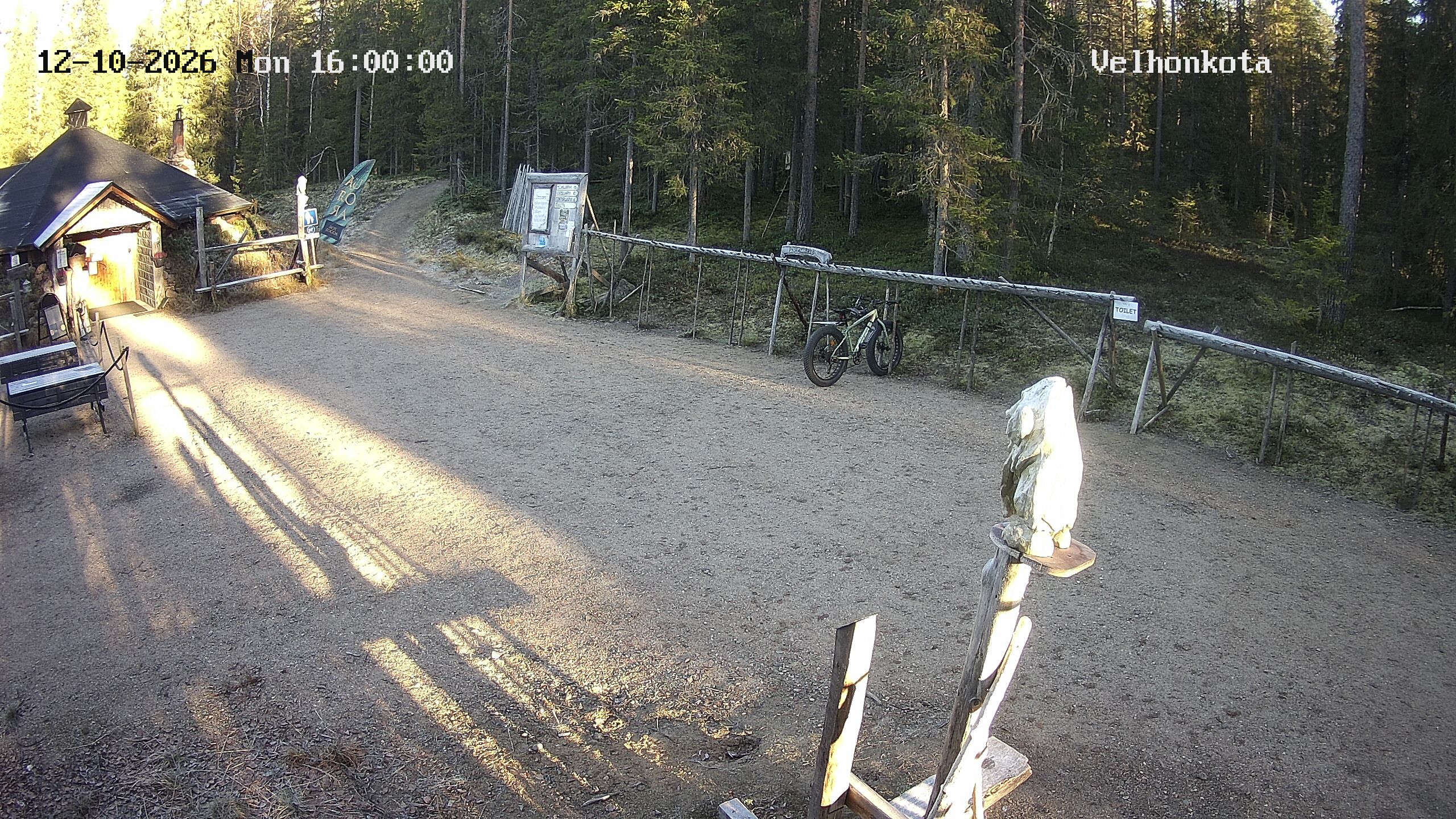 Latest Image