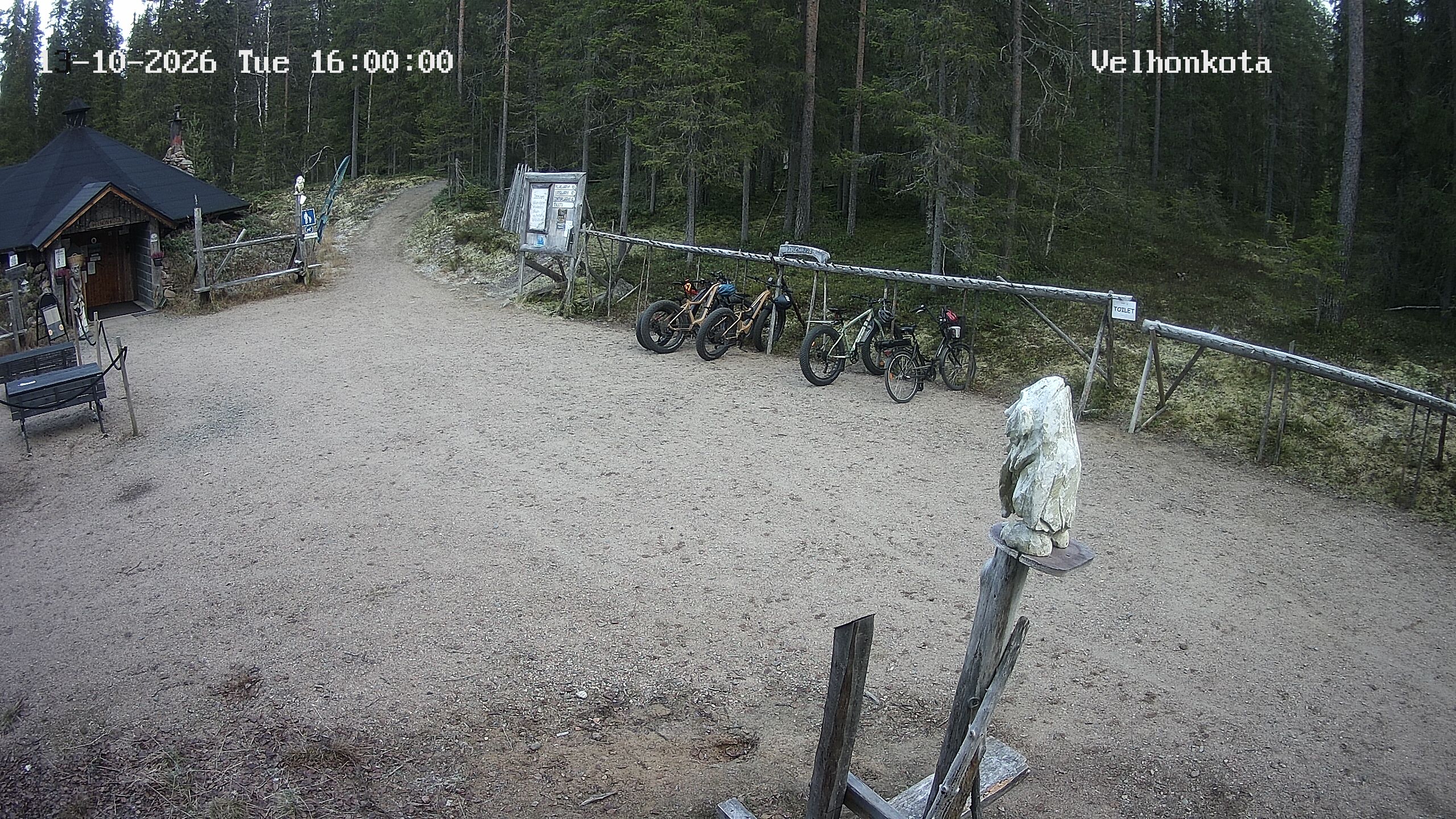 Latest Image