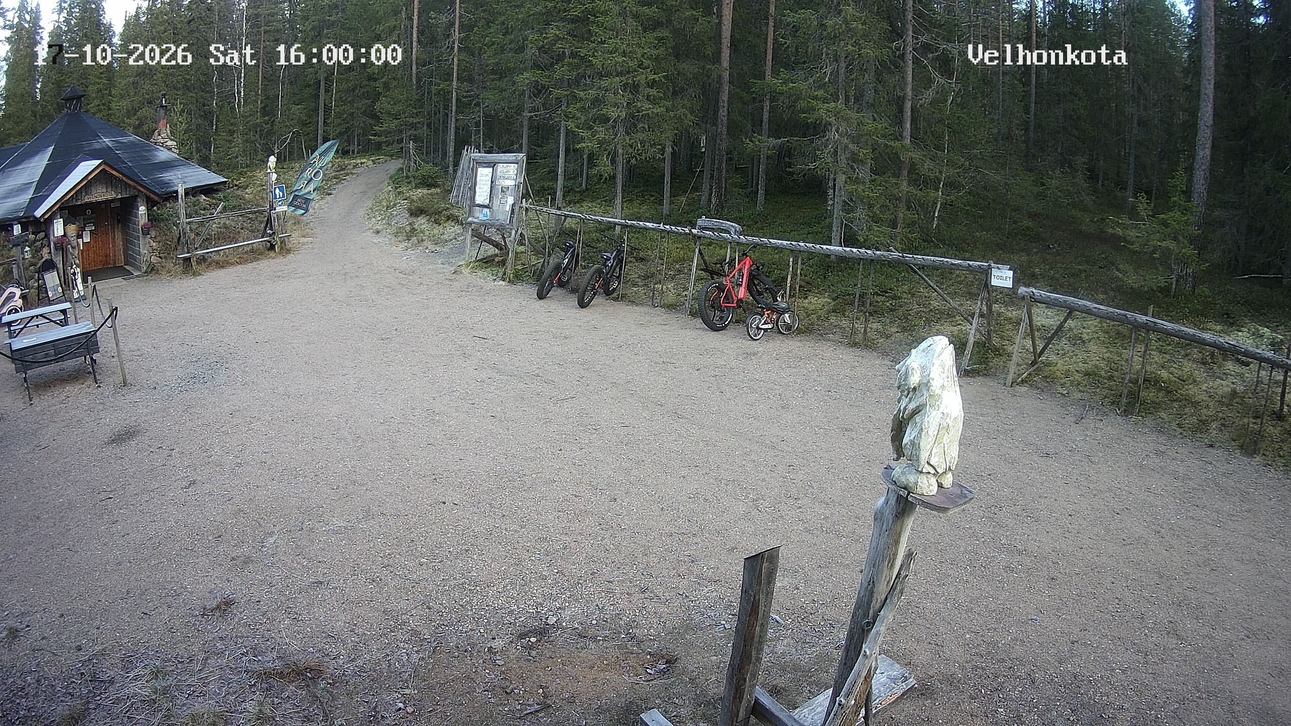 Latest Image