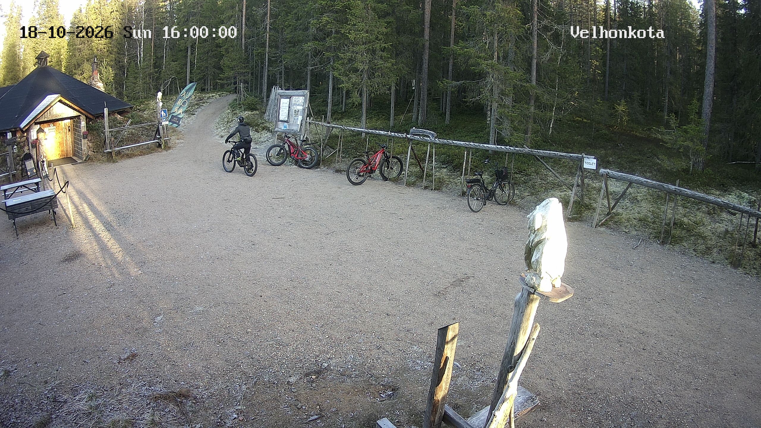 Latest Image