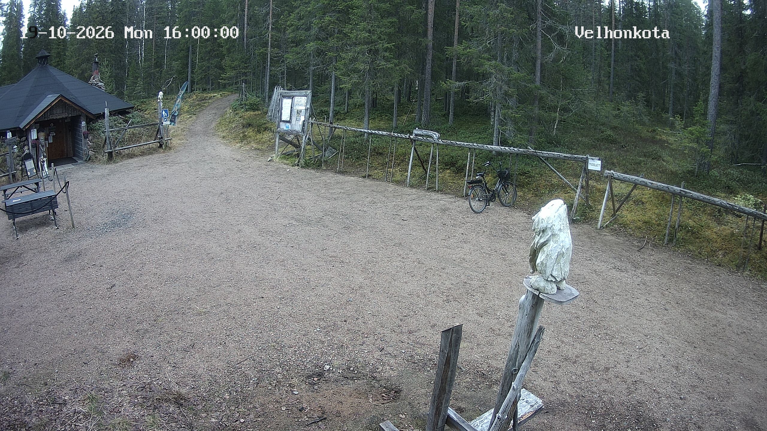 Latest Image
