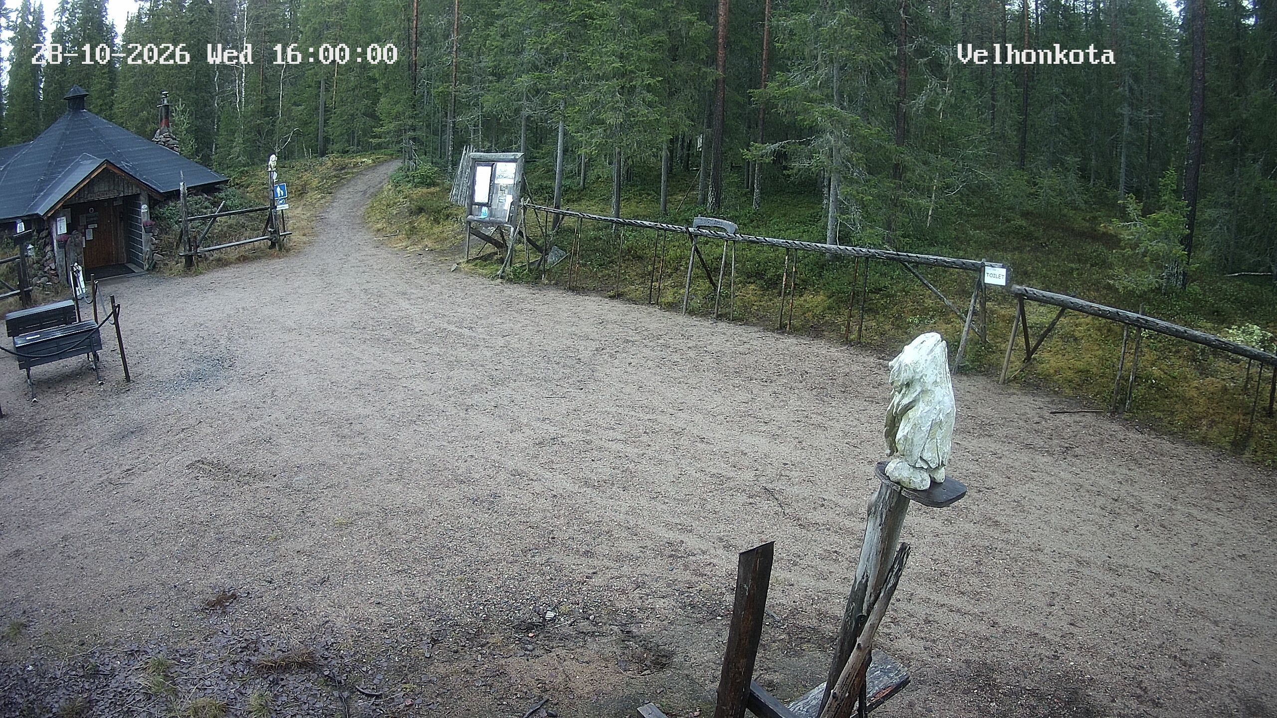 Latest Image