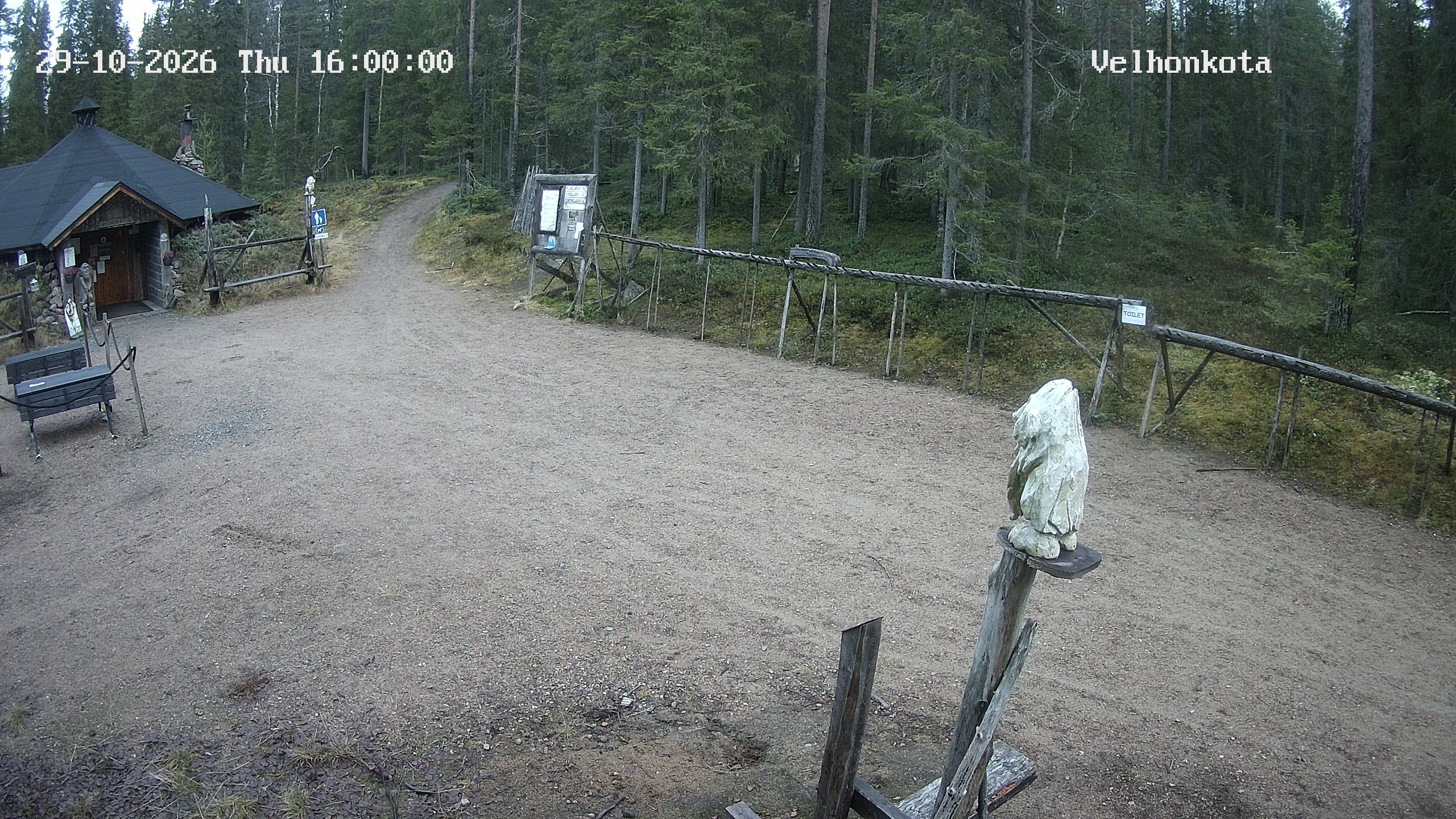 Latest Image